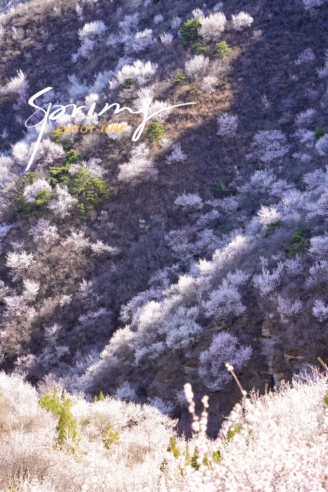 别再挤白虎涧‼️房山小众无人山谷太美🌸