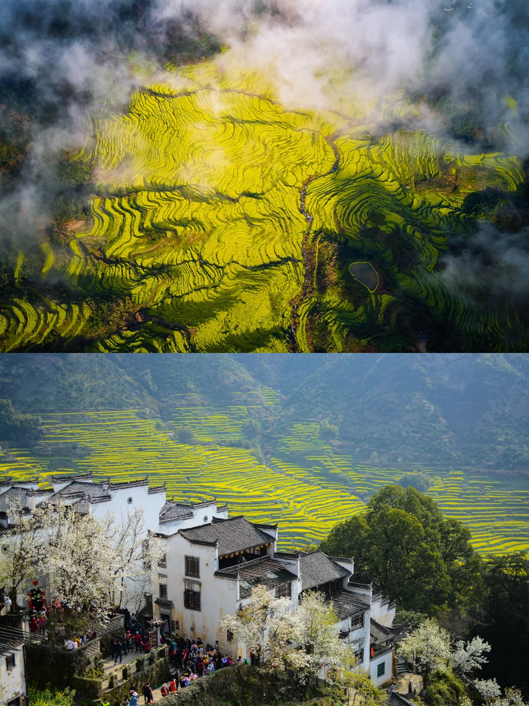 和城市绝交的2天！一起走进最美古村的春天