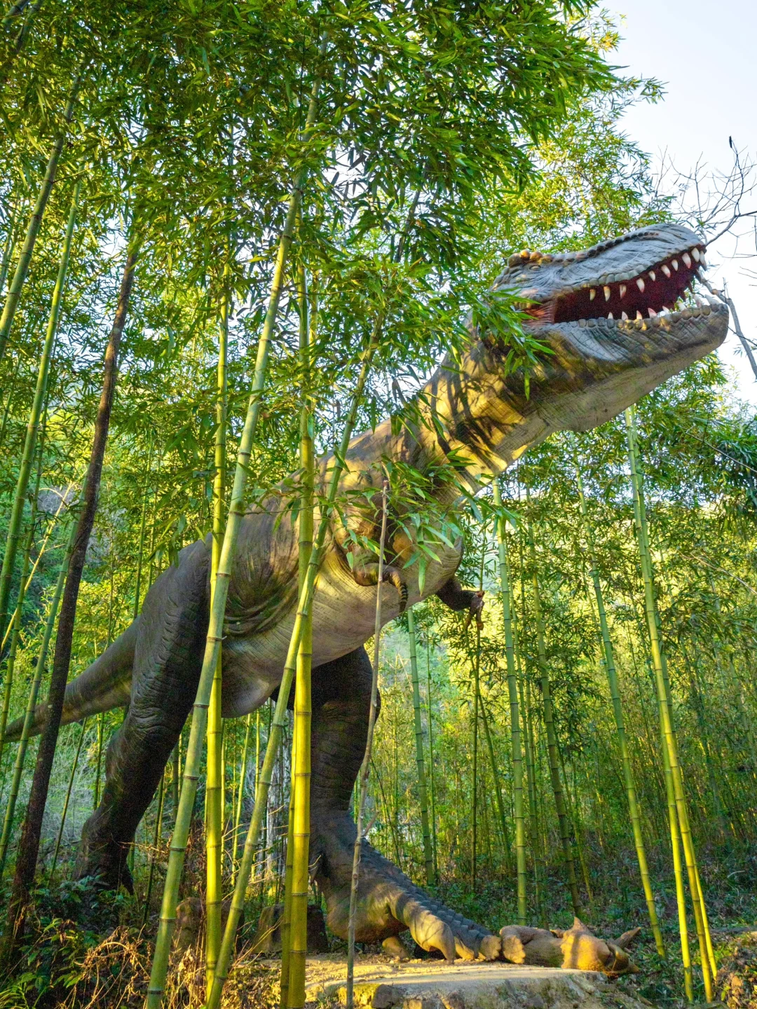 不输迪士尼！迄今为止最爱的山野乐园出现了…