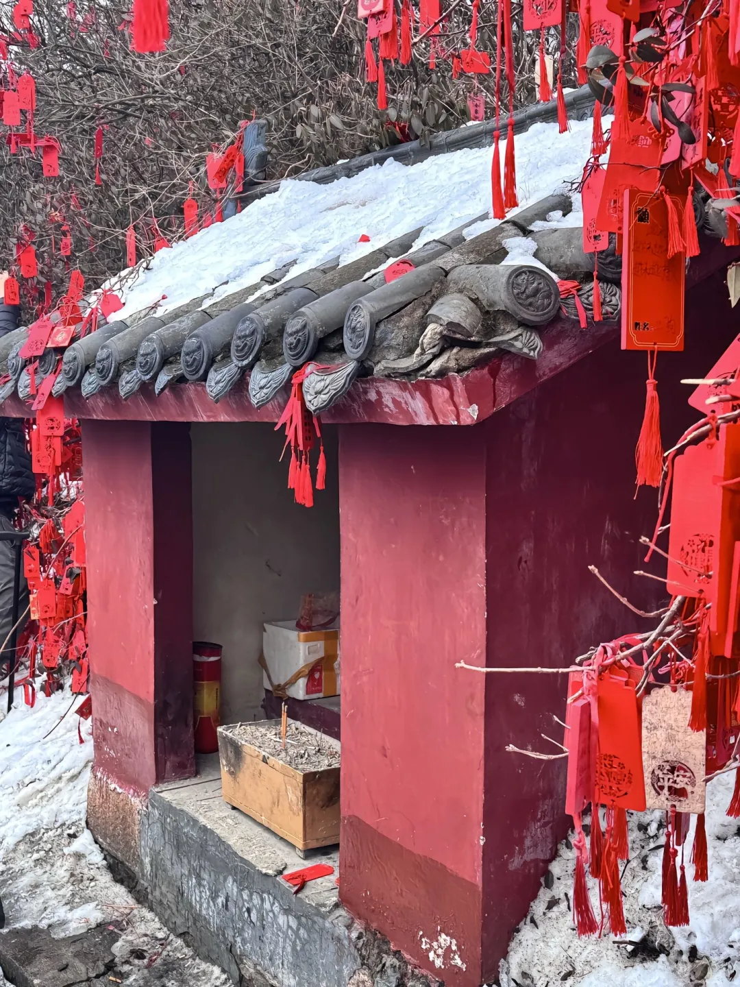 3.26号老君山实况，一上来彻底崩溃了……