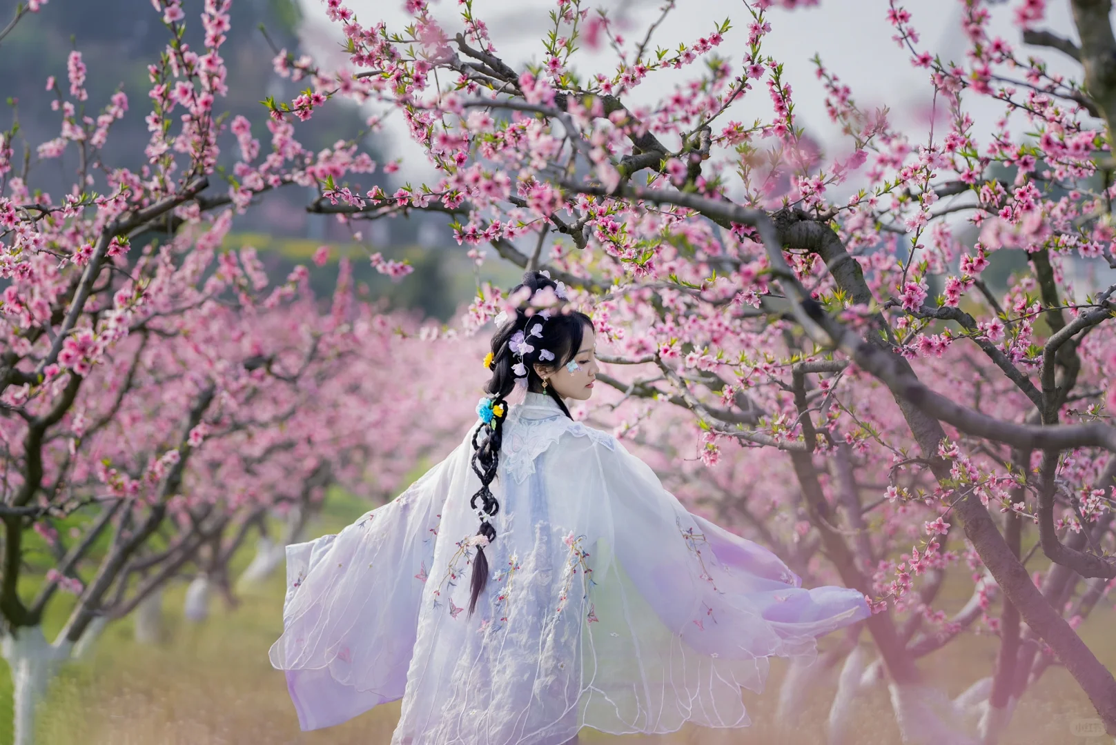 3月顶流预警❗️这粉色烟霞承包四川人的浪漫