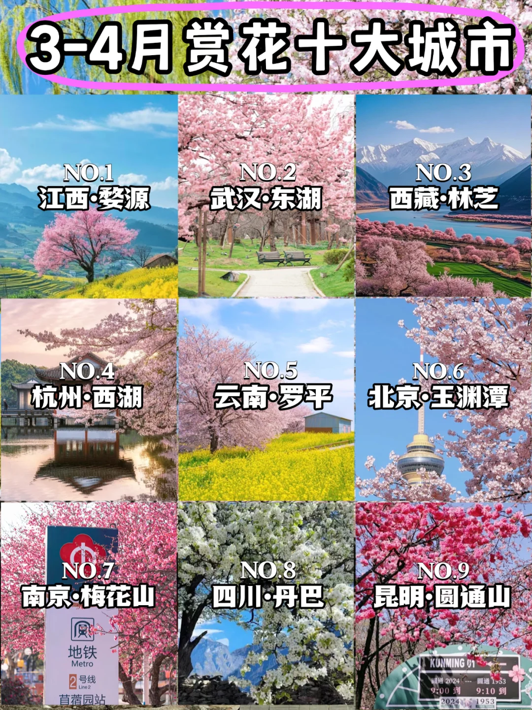 接下来的3-4月是这样的🌸(赏花好去处攻略)