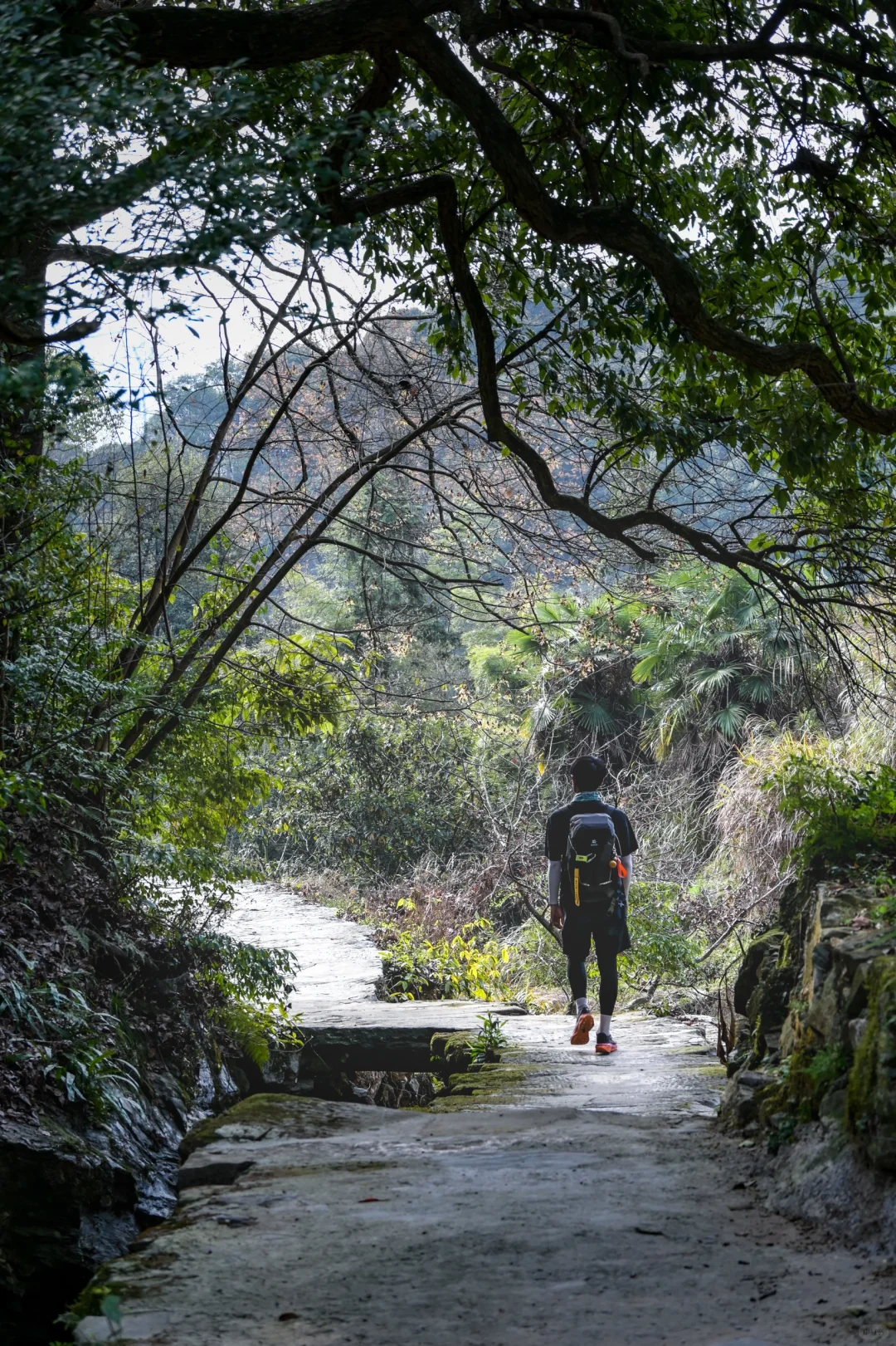 江岭溜腿的仨小时🫴🏻