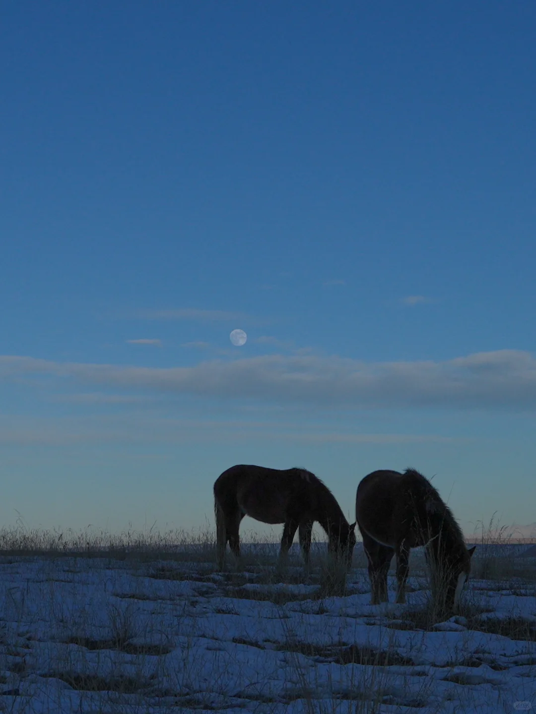 「归址」是孤独，亦是独有 | 新疆昆仑山酒店