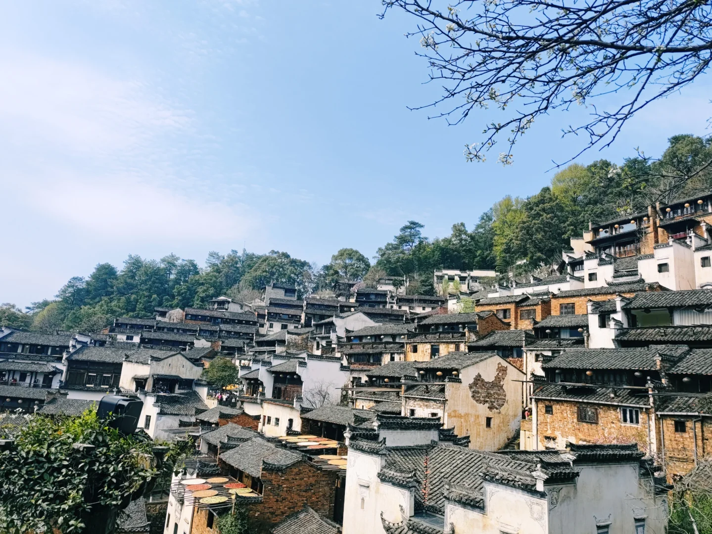 春天怎么能不来婺源看油菜花呢