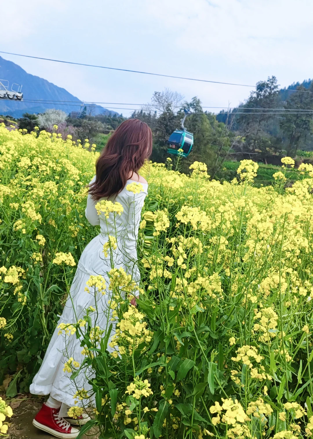 春天怎么能不来婺源看油菜花呢