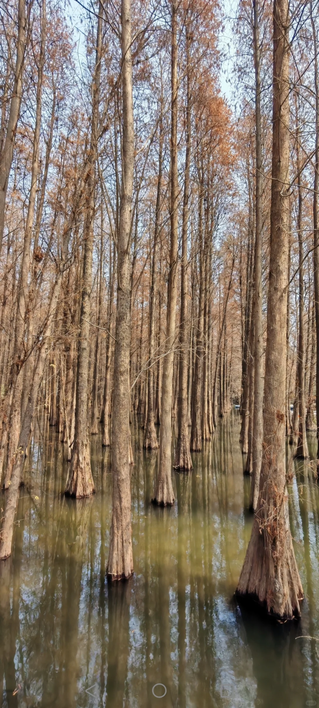 北京至广东肇庆自驾游