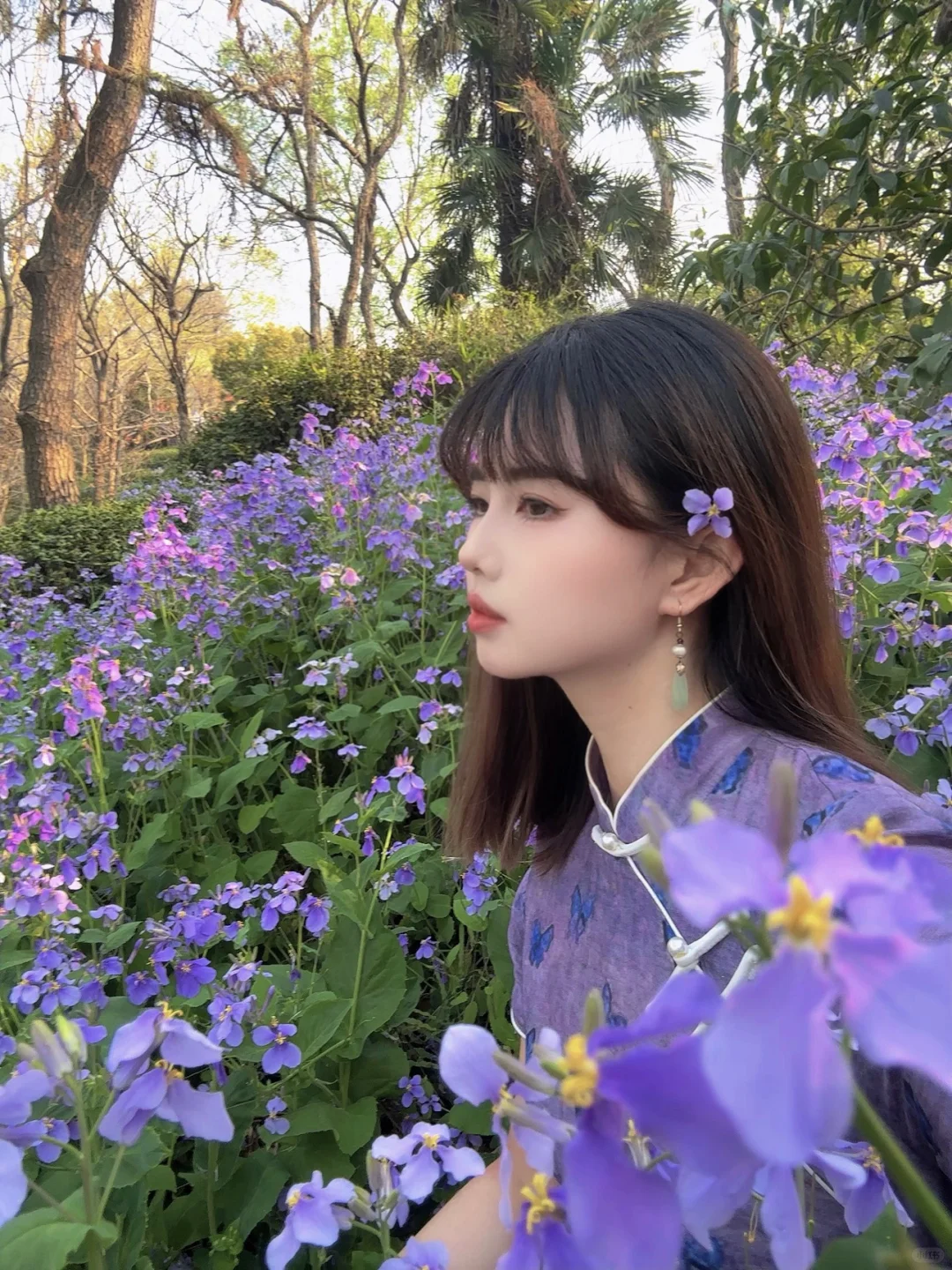 今年万事“紫”定赢🦋💜🦋💜🦋