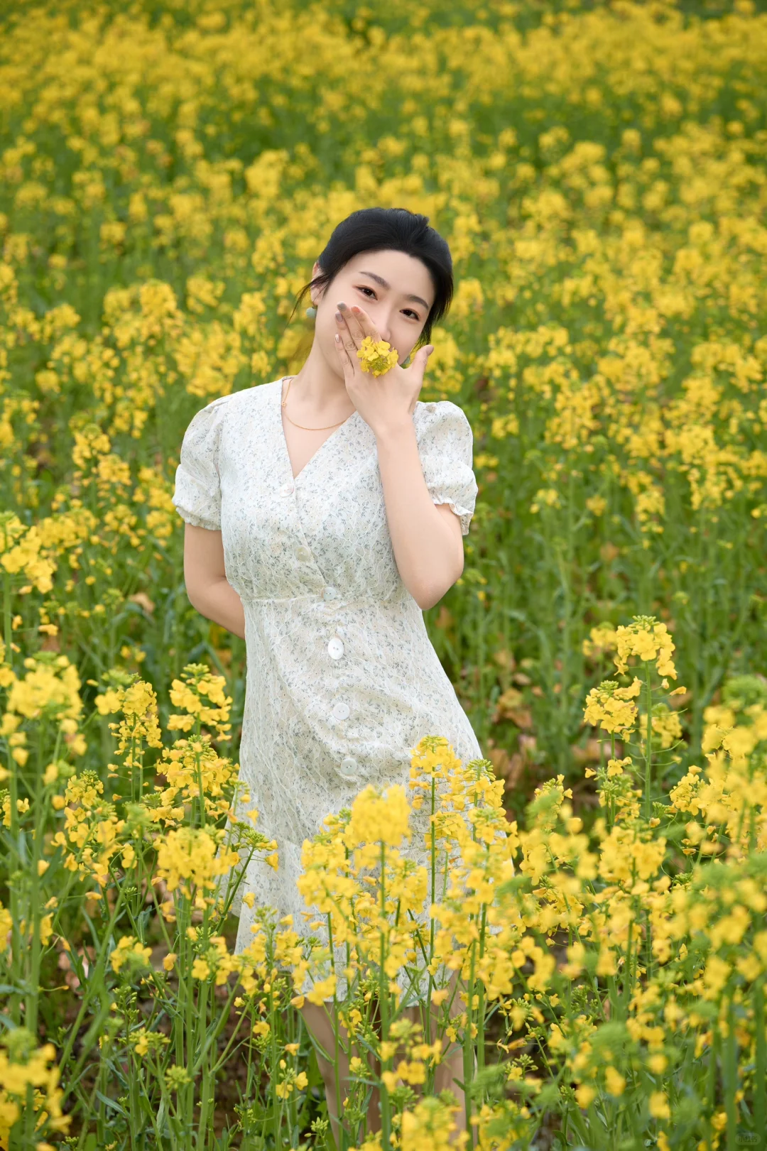 在宏村！！油菜花不用再去婺源啦！！