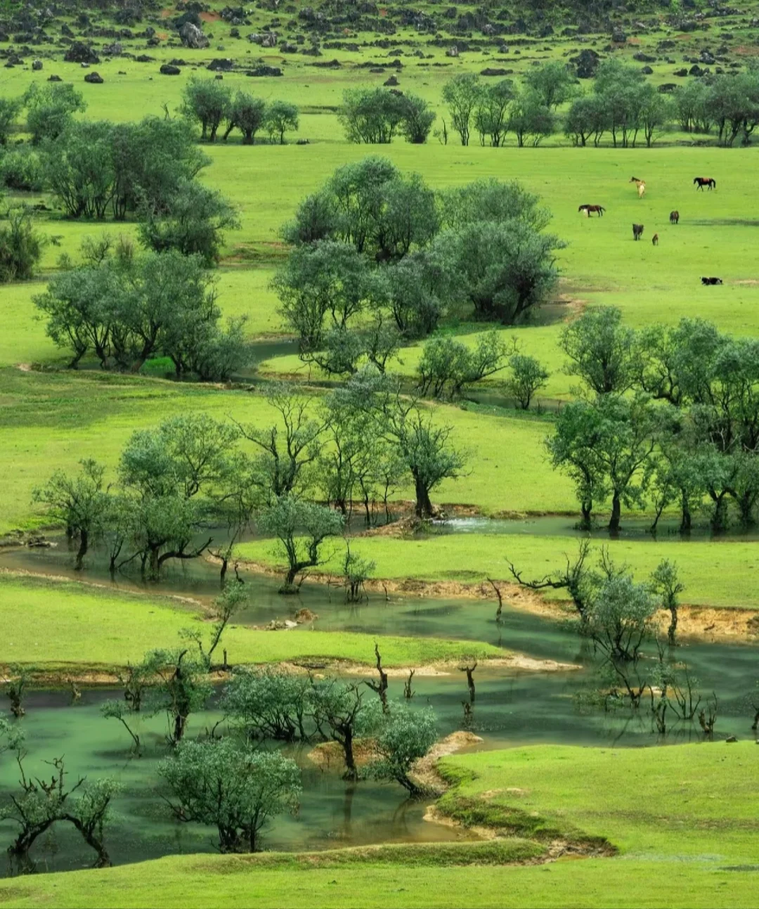本地人整理的南宁|崇左|百色旅游✅别踩雷