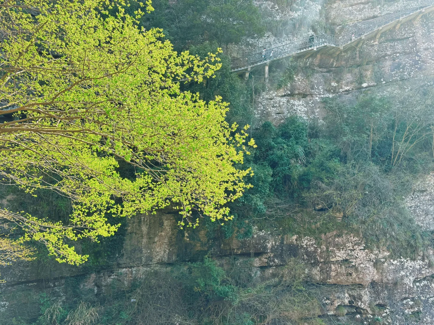 浙江张家界十九峰景区