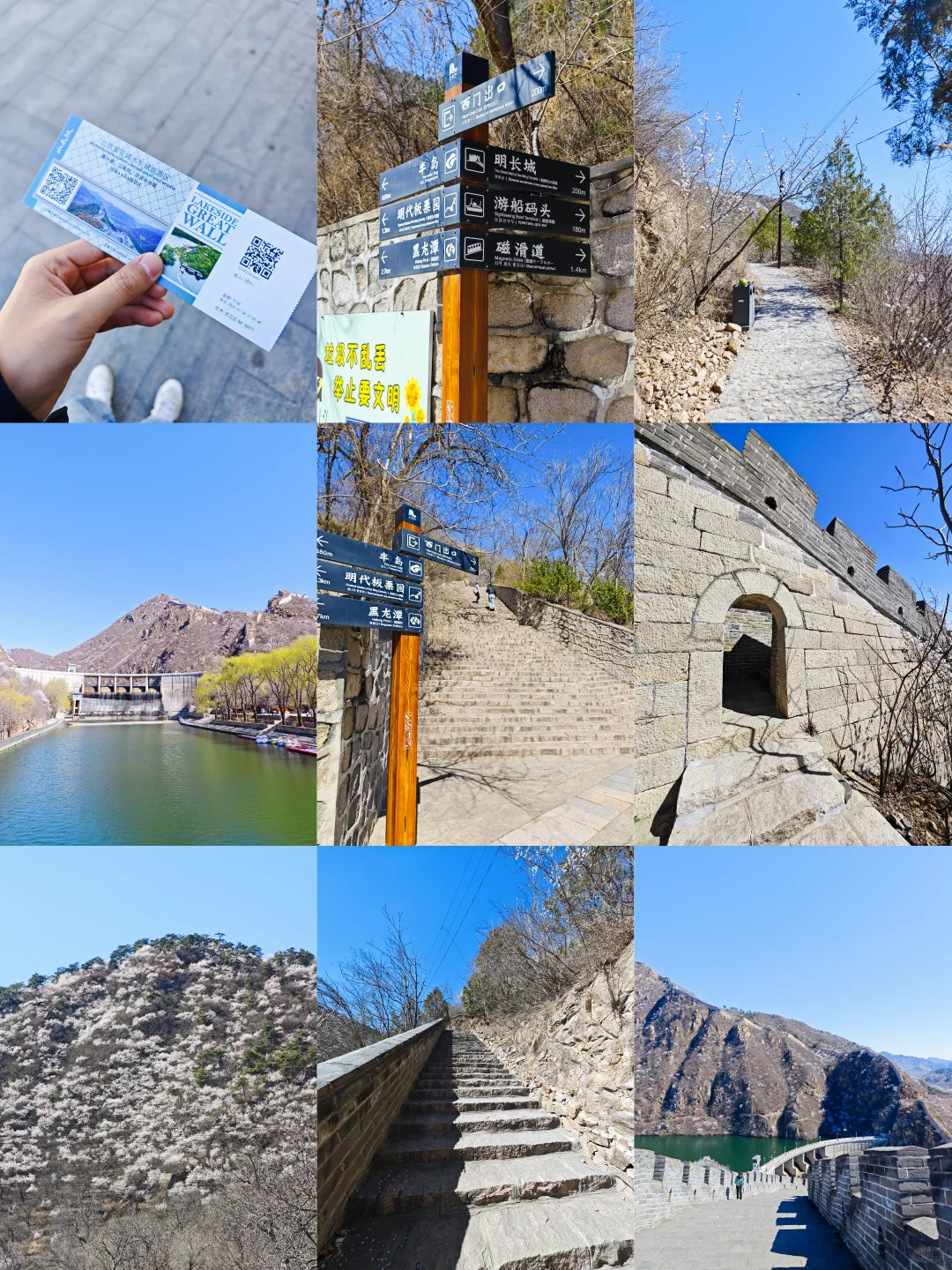 3.24实拍丨在北京我找到了林芝的平替