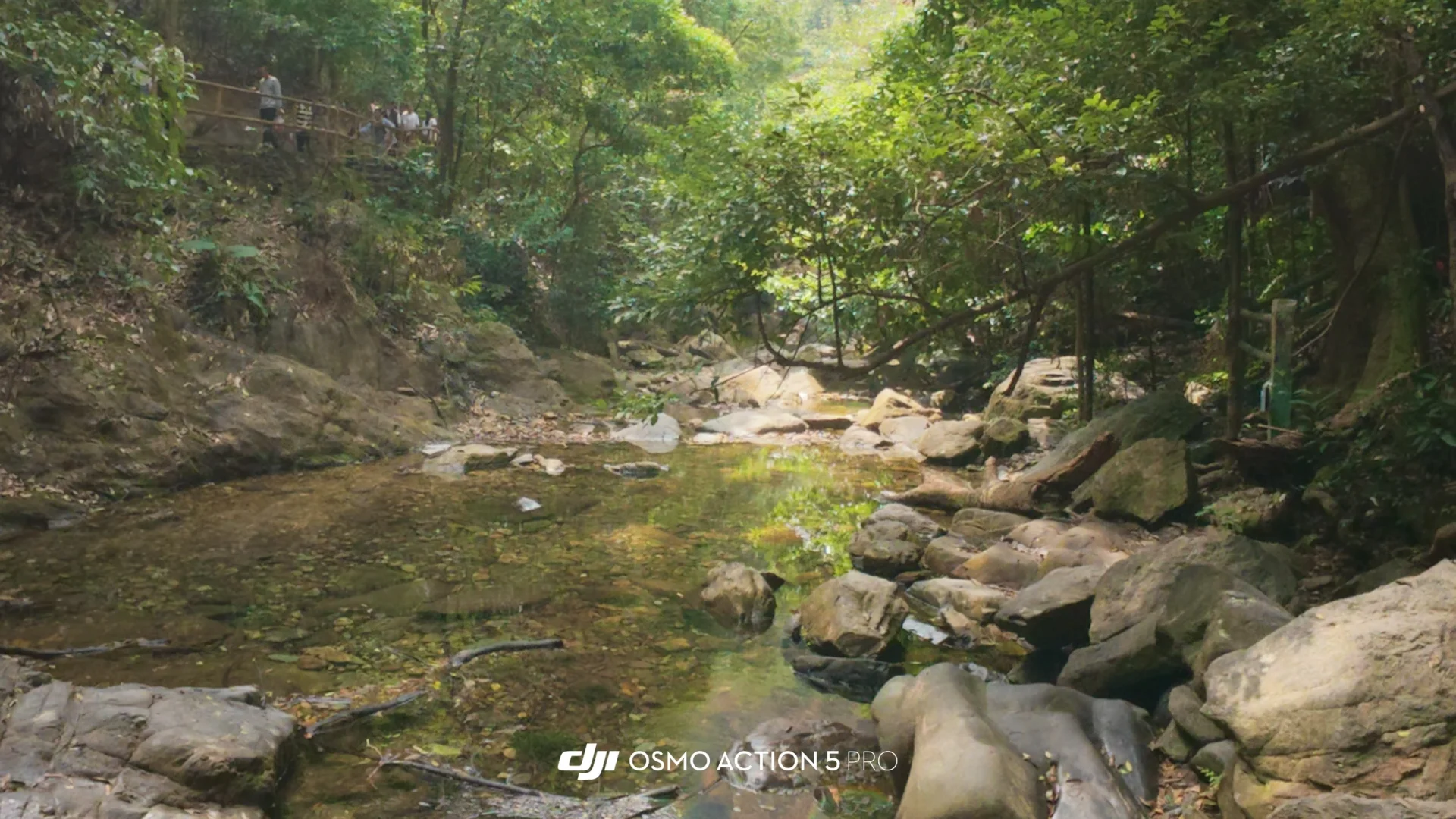 【读研日记】周末出游肇庆