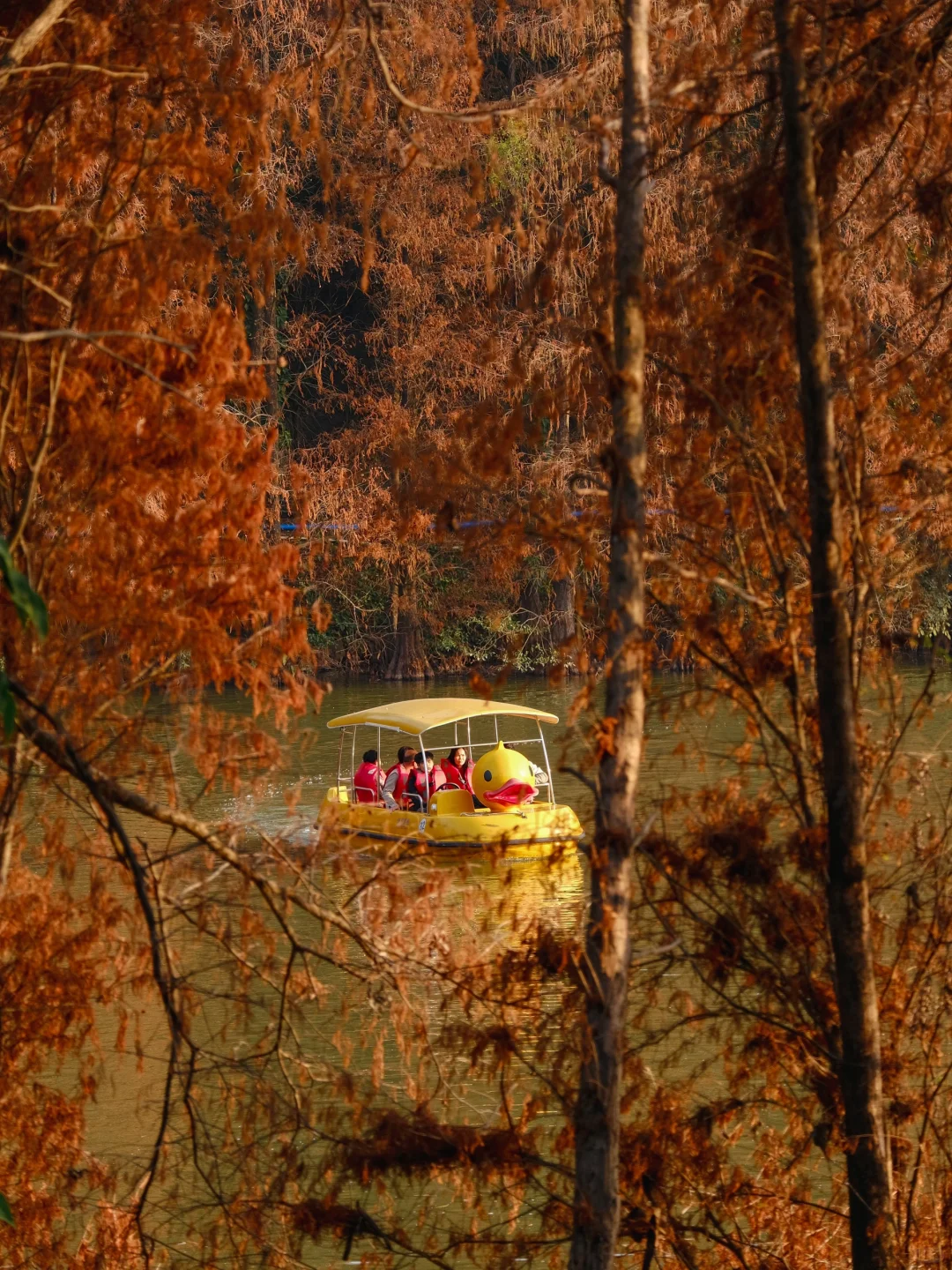 广州出发1h | 直达广东“小九寨”🍃