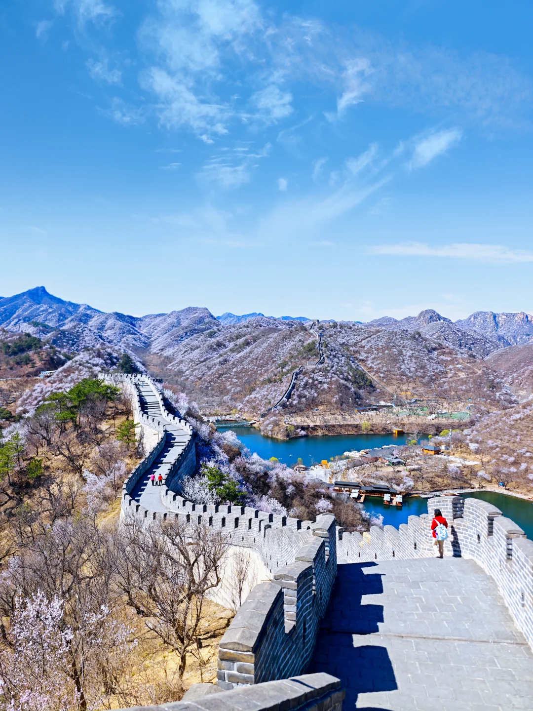 3.24实拍丨在北京我找到了林芝的平替