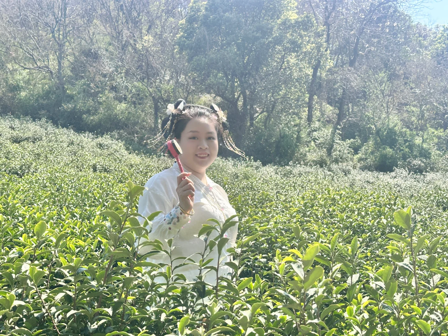 趁现在❗️来海盐丰义看油菜花吧~