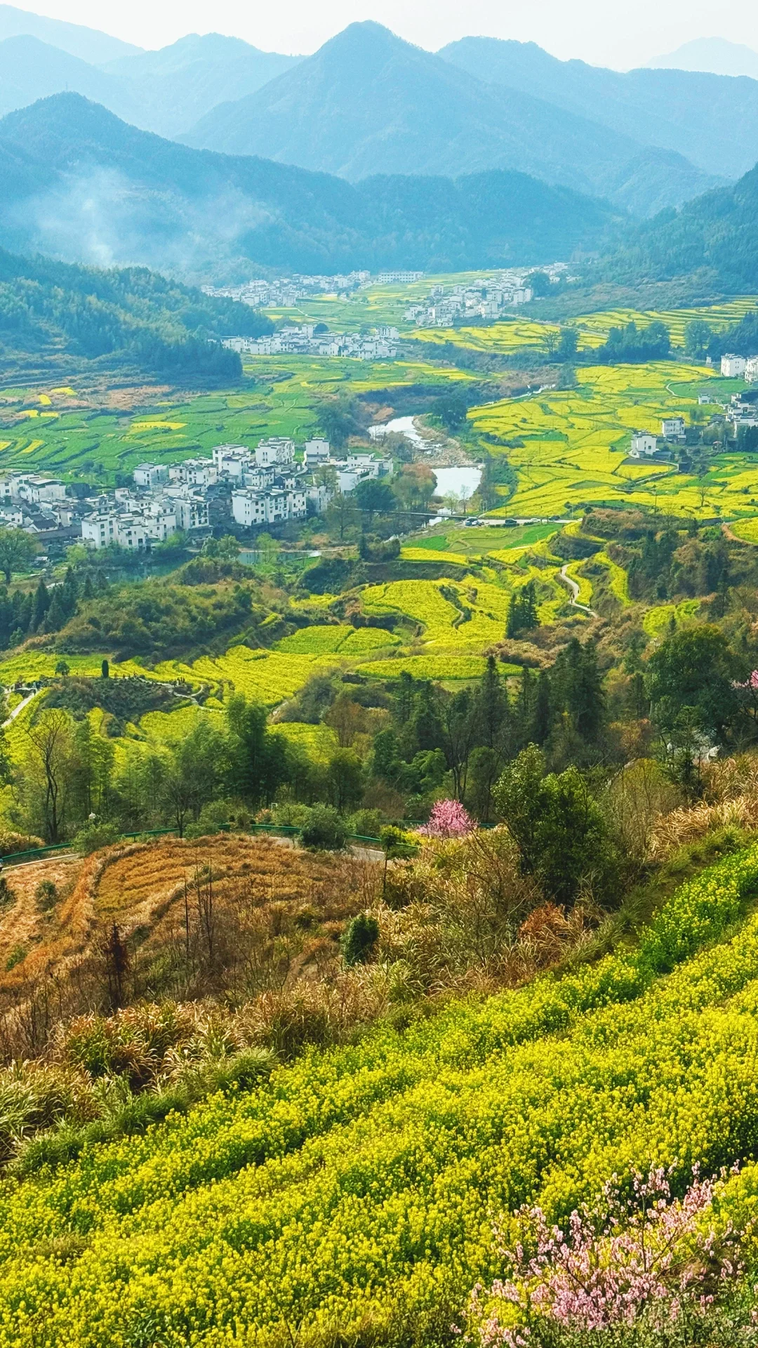 江岭溜腿的仨小时🫴🏻