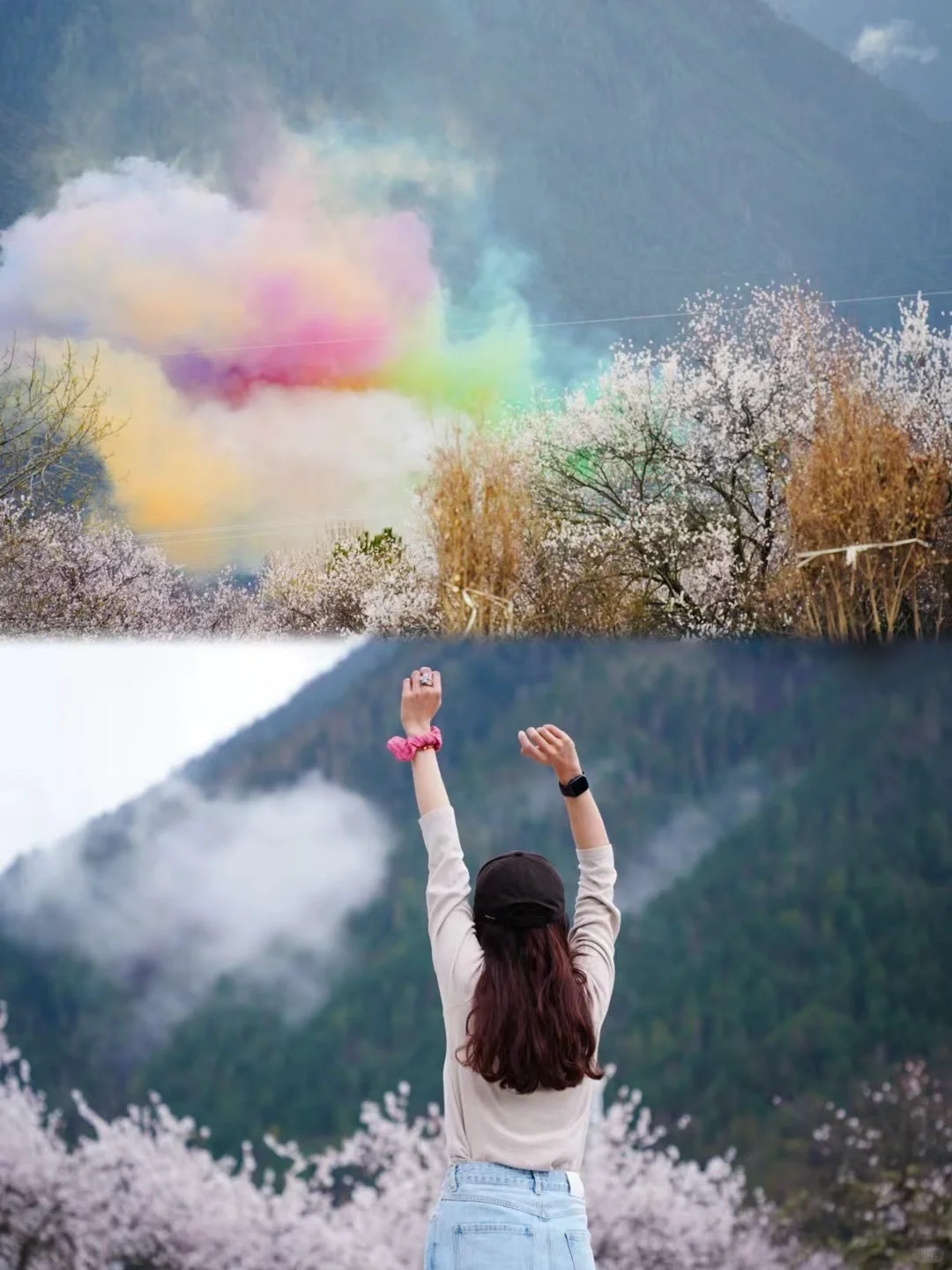 林芝索松村｜赴一场雪山下的桃花盛宴