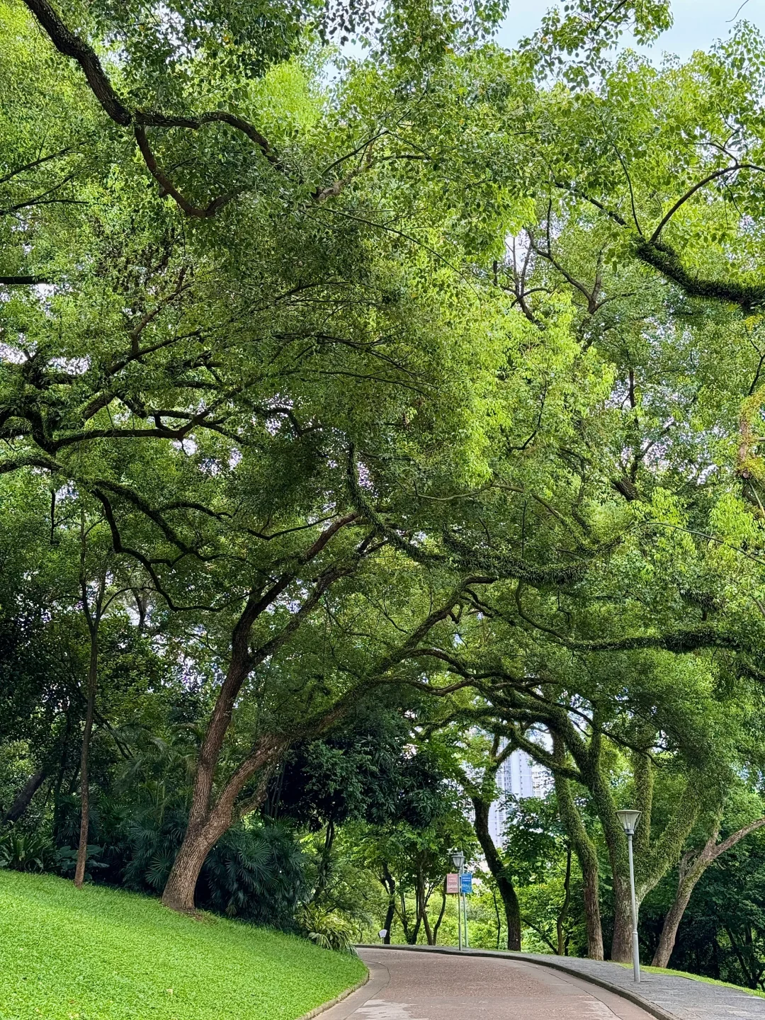 南宁最美的地方都是免费的（live合集）