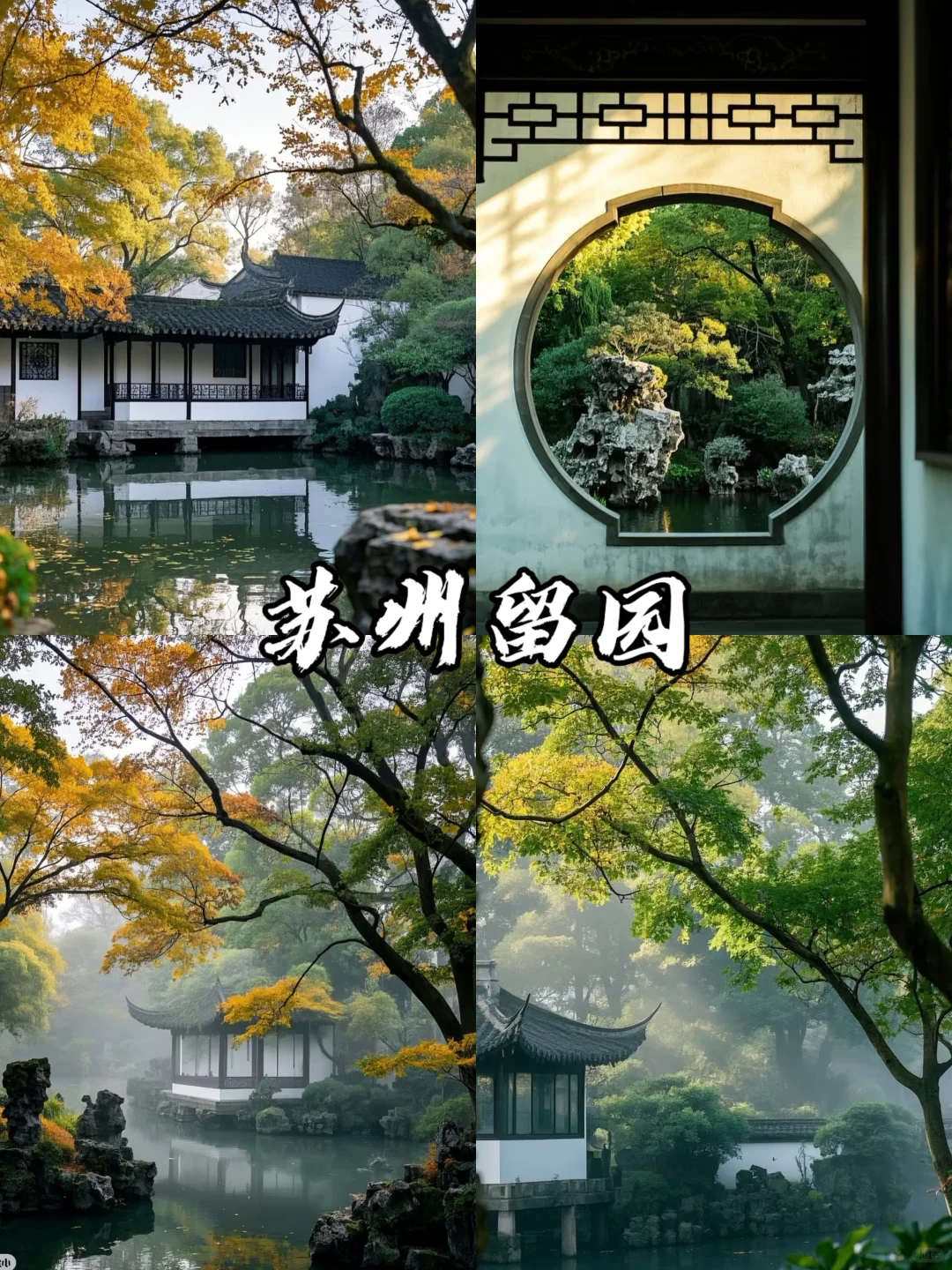 三月下江南,感受下苏杭的春明景和🌸