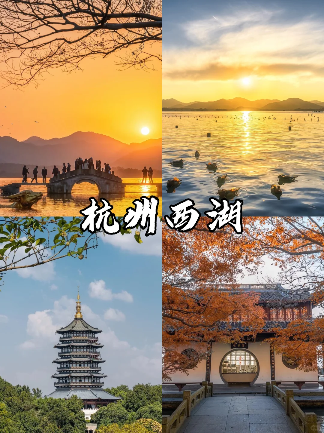 三月下江南,感受下苏杭的春明景和🌸