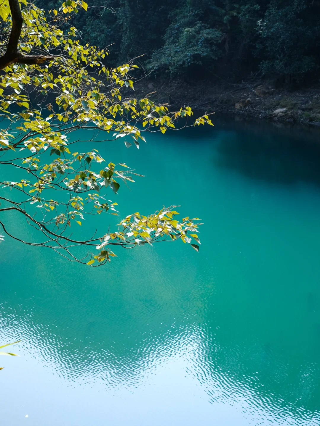 广州出发1h | 直达广东“小九寨”🍃