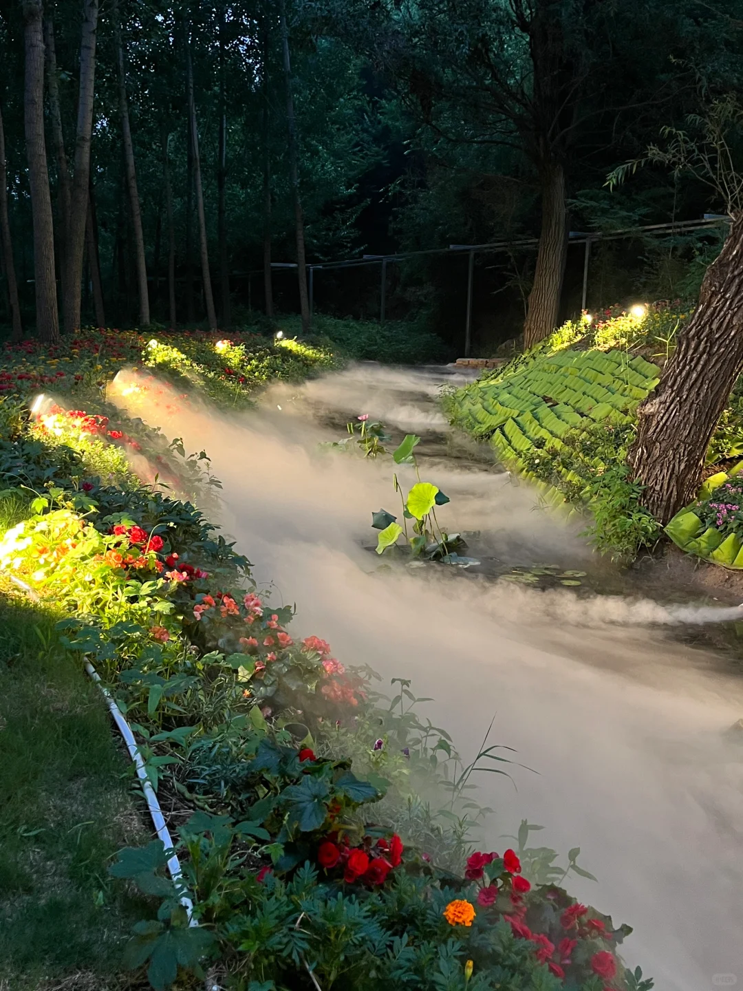 邯郸周边游🚘抱香谷也太好拍了吧⛰️