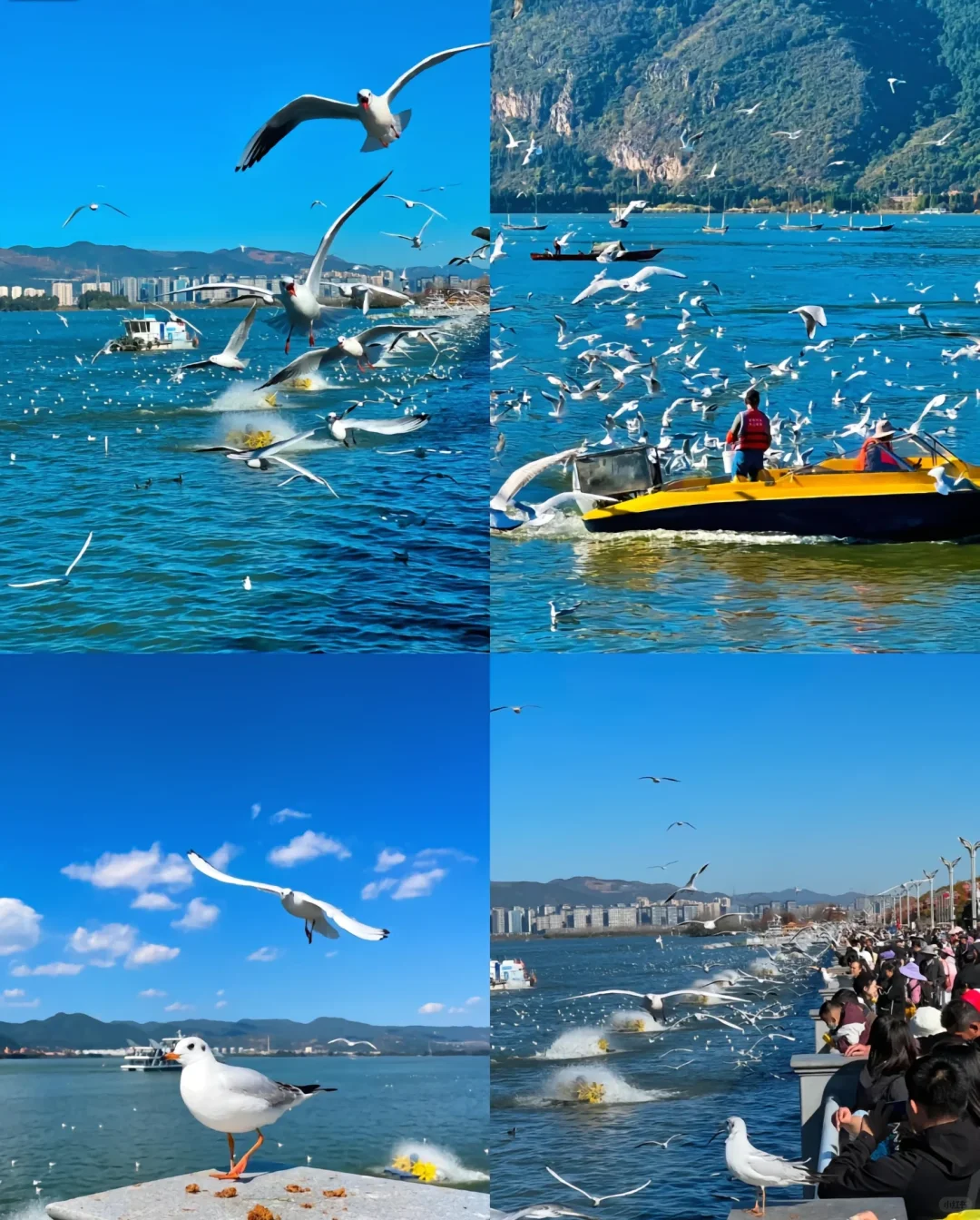 🎉本人亲游云南昆明宝藏旅游景点🌸🌸