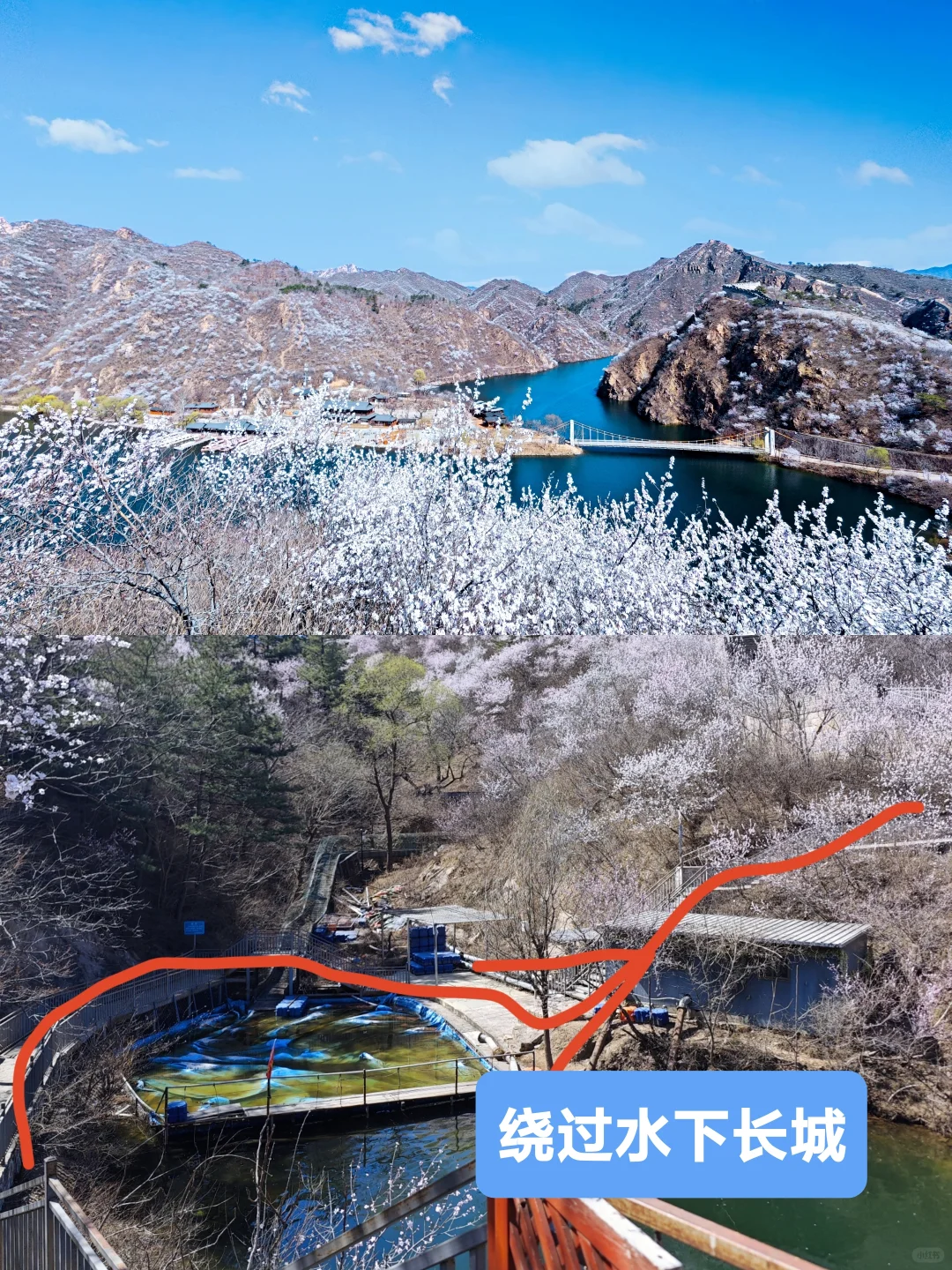 3.24实拍丨在北京我找到了林芝的平替