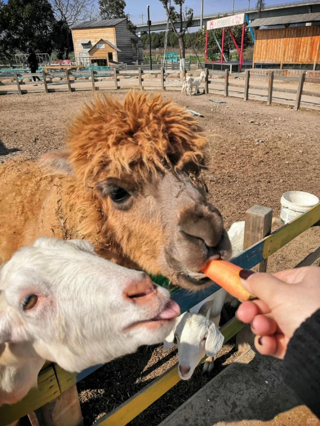 浙江宁波镇海区2日自驾游秘籍
