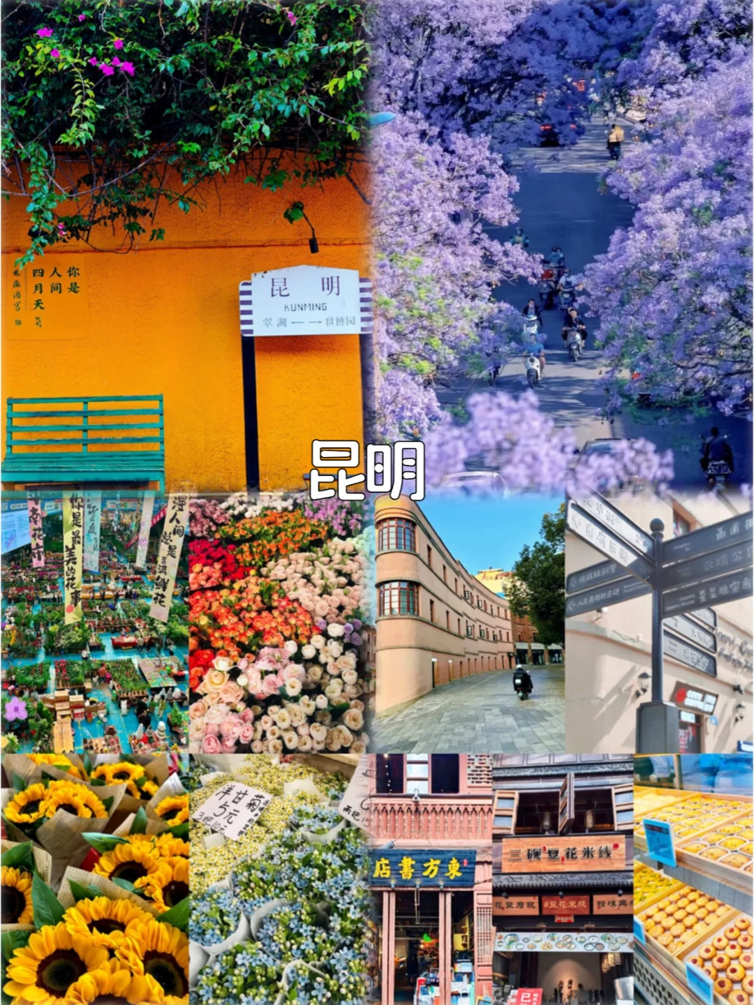 五一✅第一次💯来云南一定要按顺序玩❗