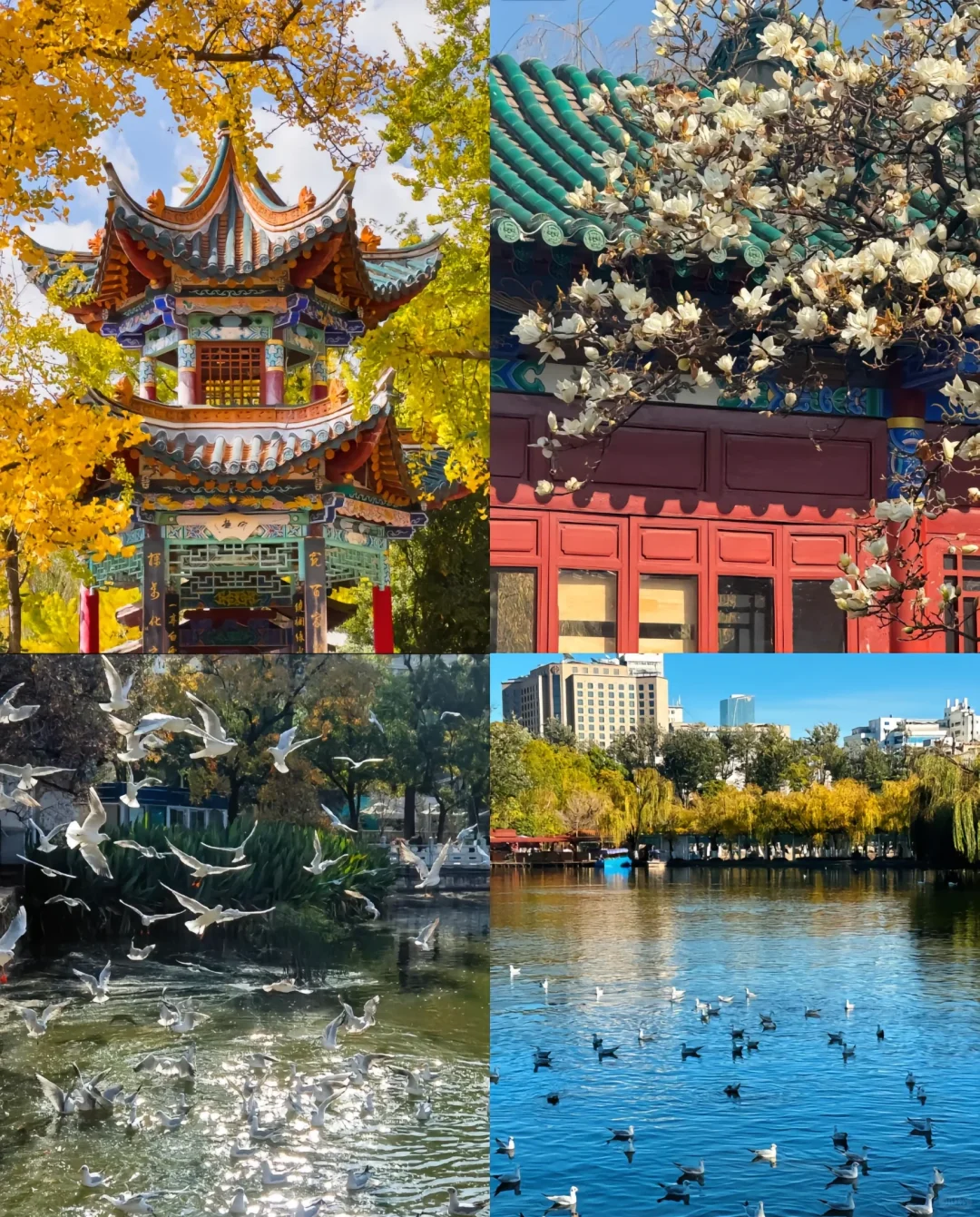 🎉本人亲游云南昆明宝藏旅游景点🌸🌸