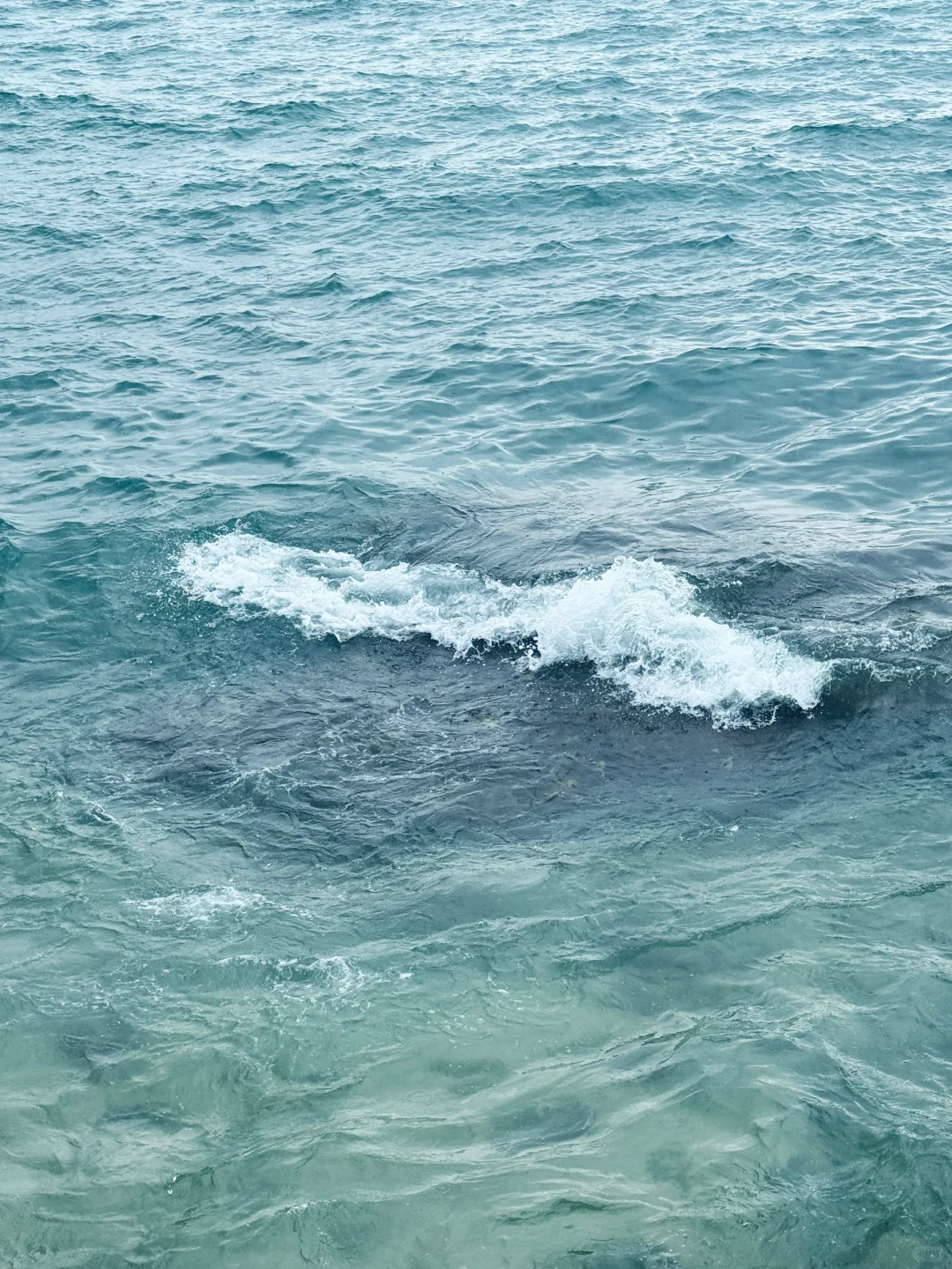 三亚西岛已回！一日游避雷攻略总结！！