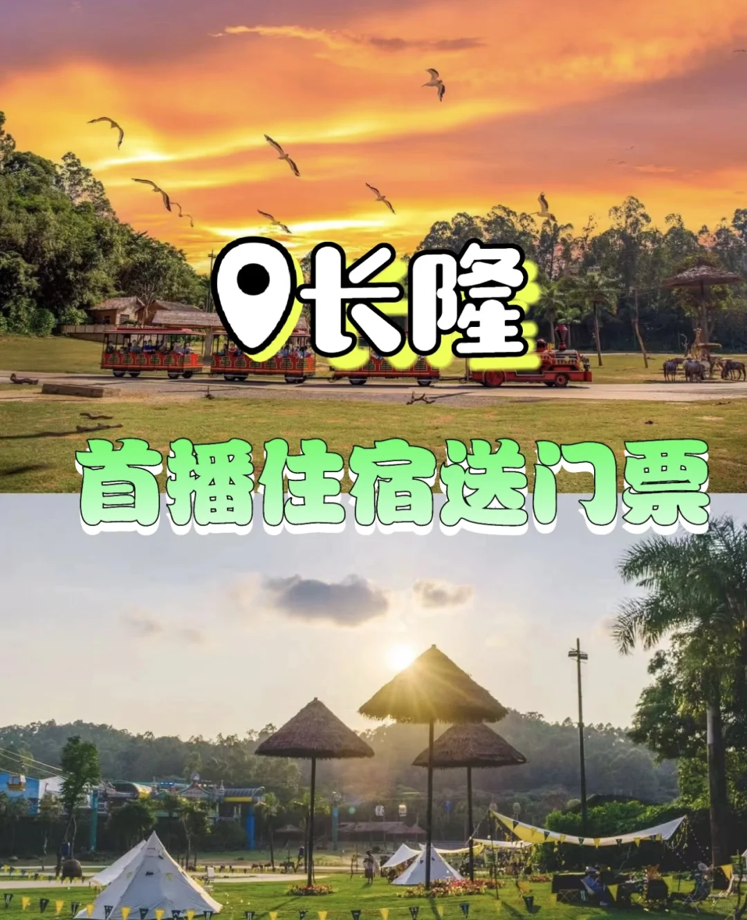 【广州长隆酒店全攻略｜3家酒店对比