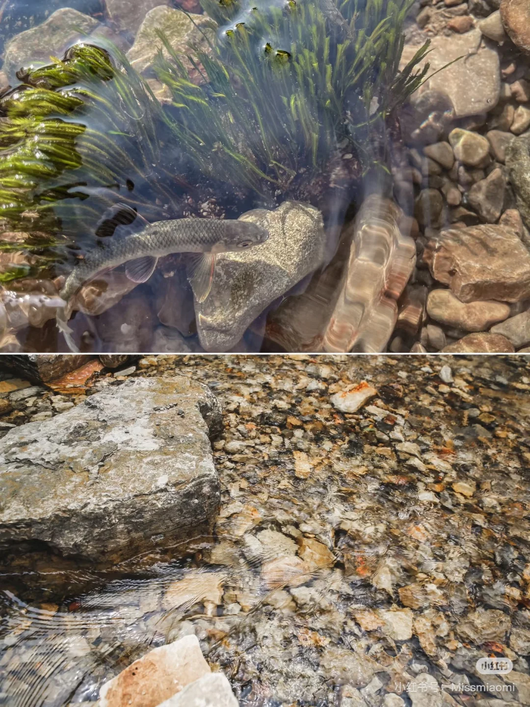 京郊适合溯溪抓鱼的6条绝美路线推荐