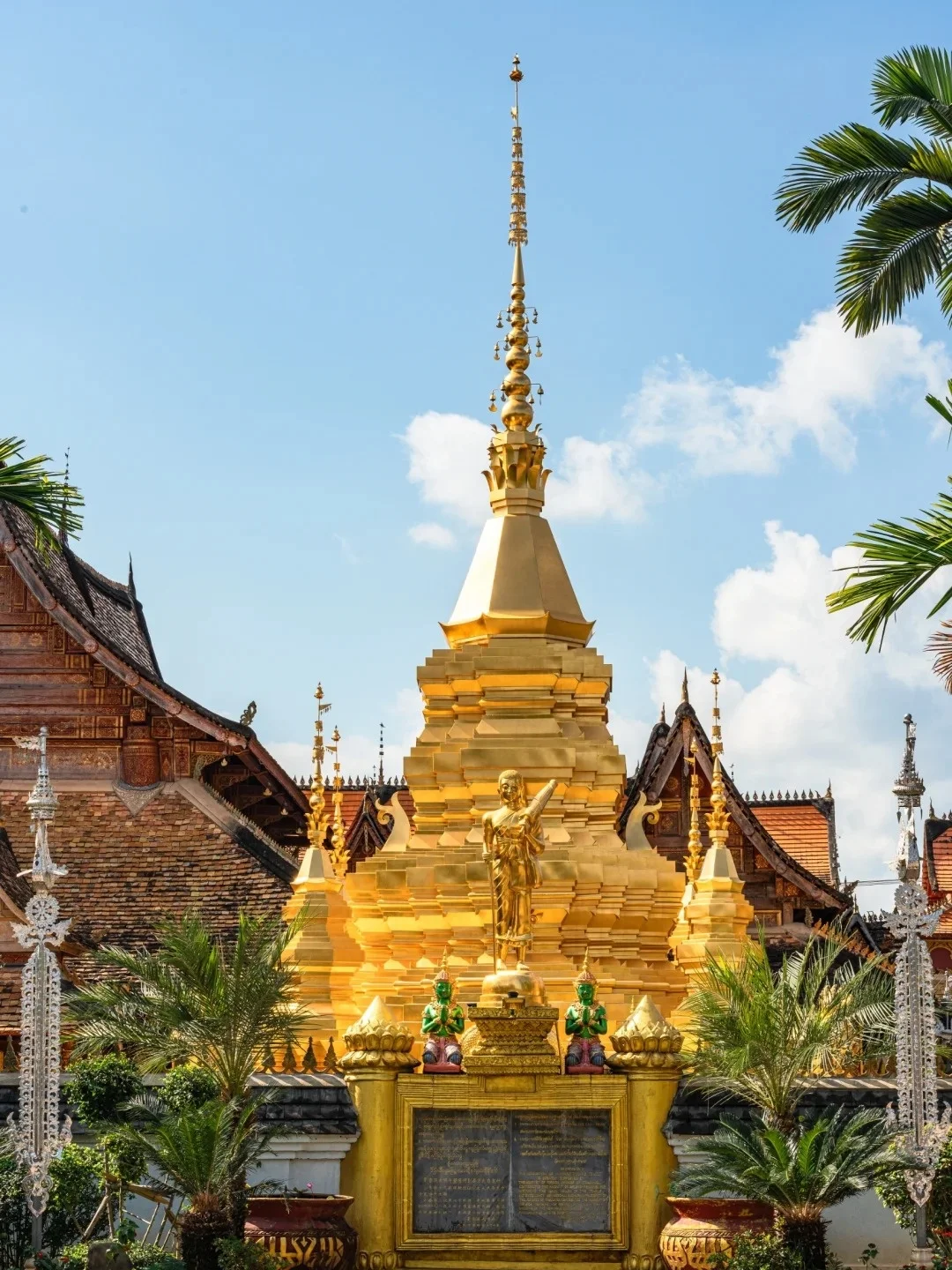 西双版纳必去 9 大景点👍