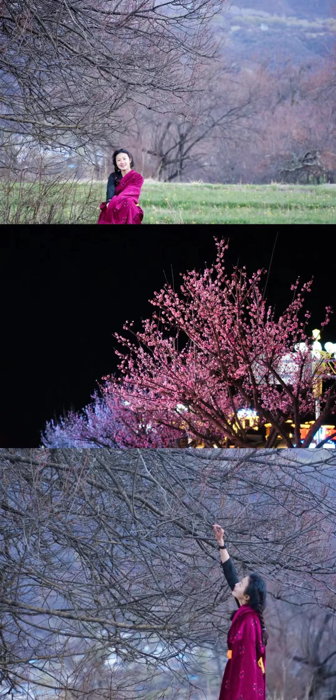 林芝索松村｜赴一场雪山下的桃花盛宴