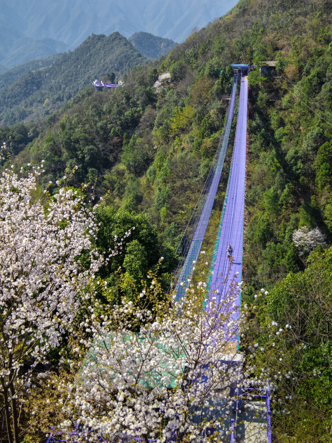 不输迪士尼！迄今为止最爱的山野乐园出现了…