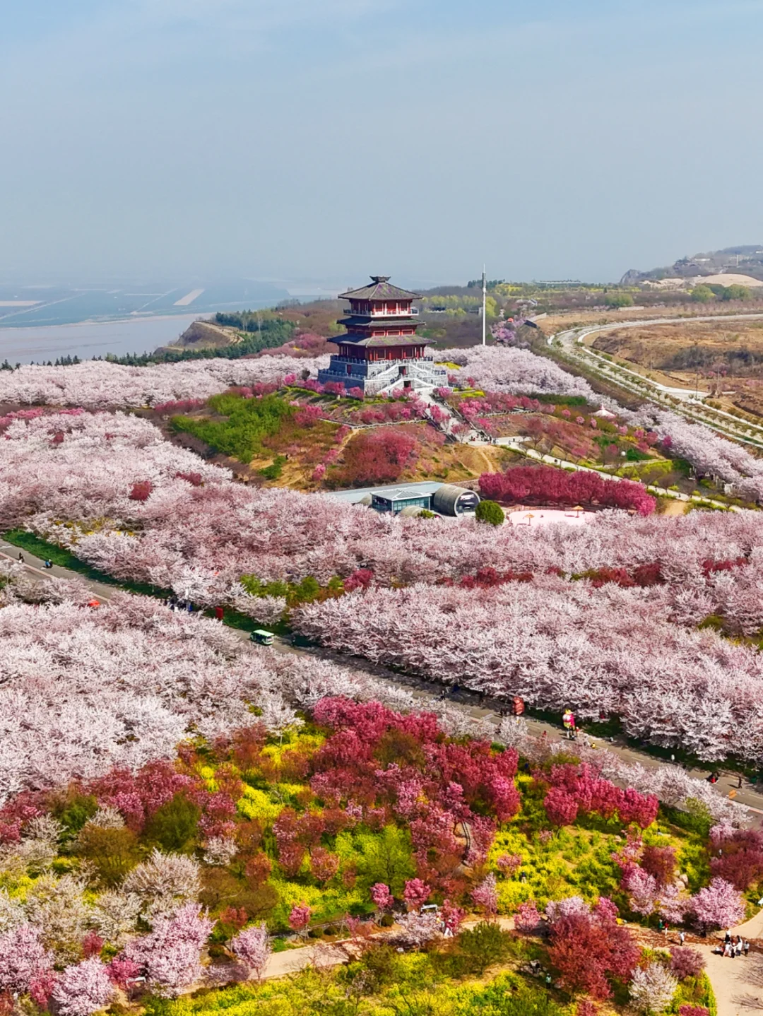 郑州赏花第5期：丰乐樱花园赏樱花攻略