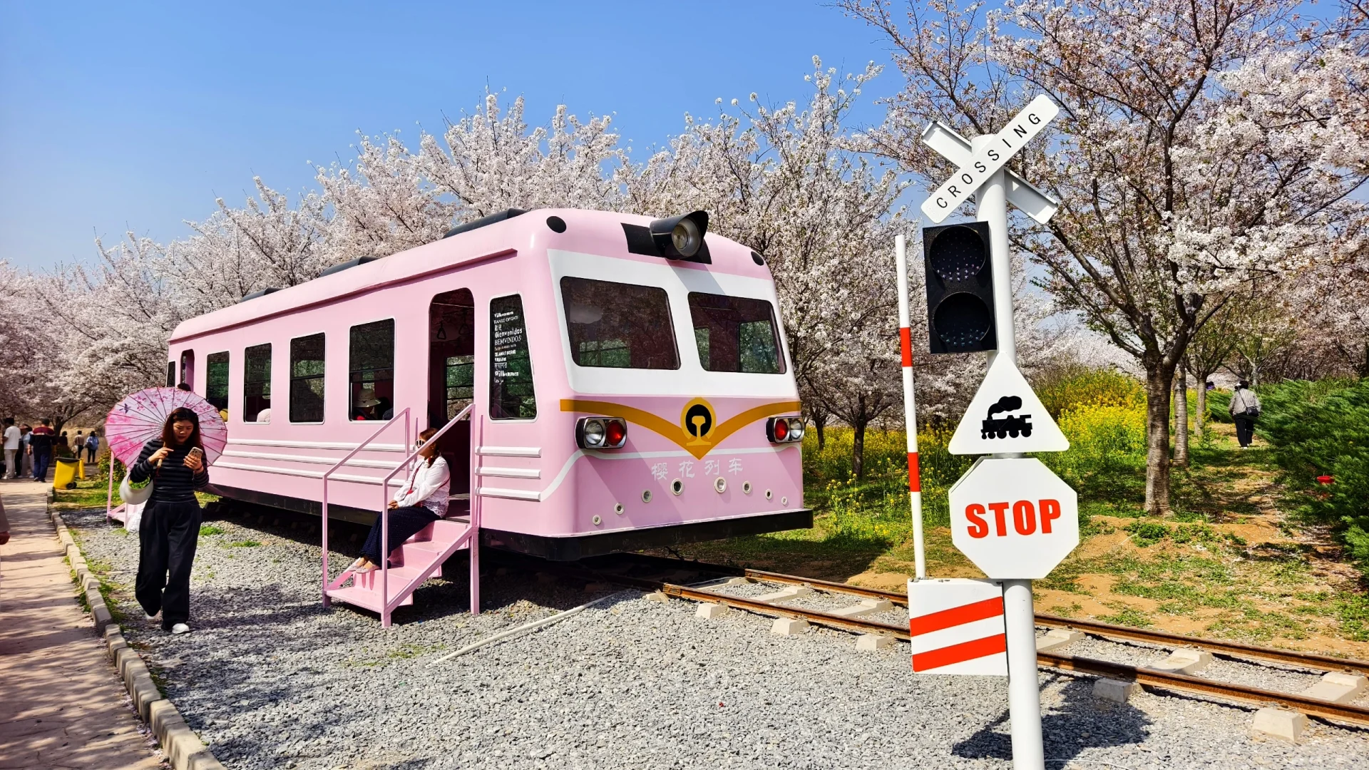 郑州赏花第5期：丰乐樱花园赏樱花攻略