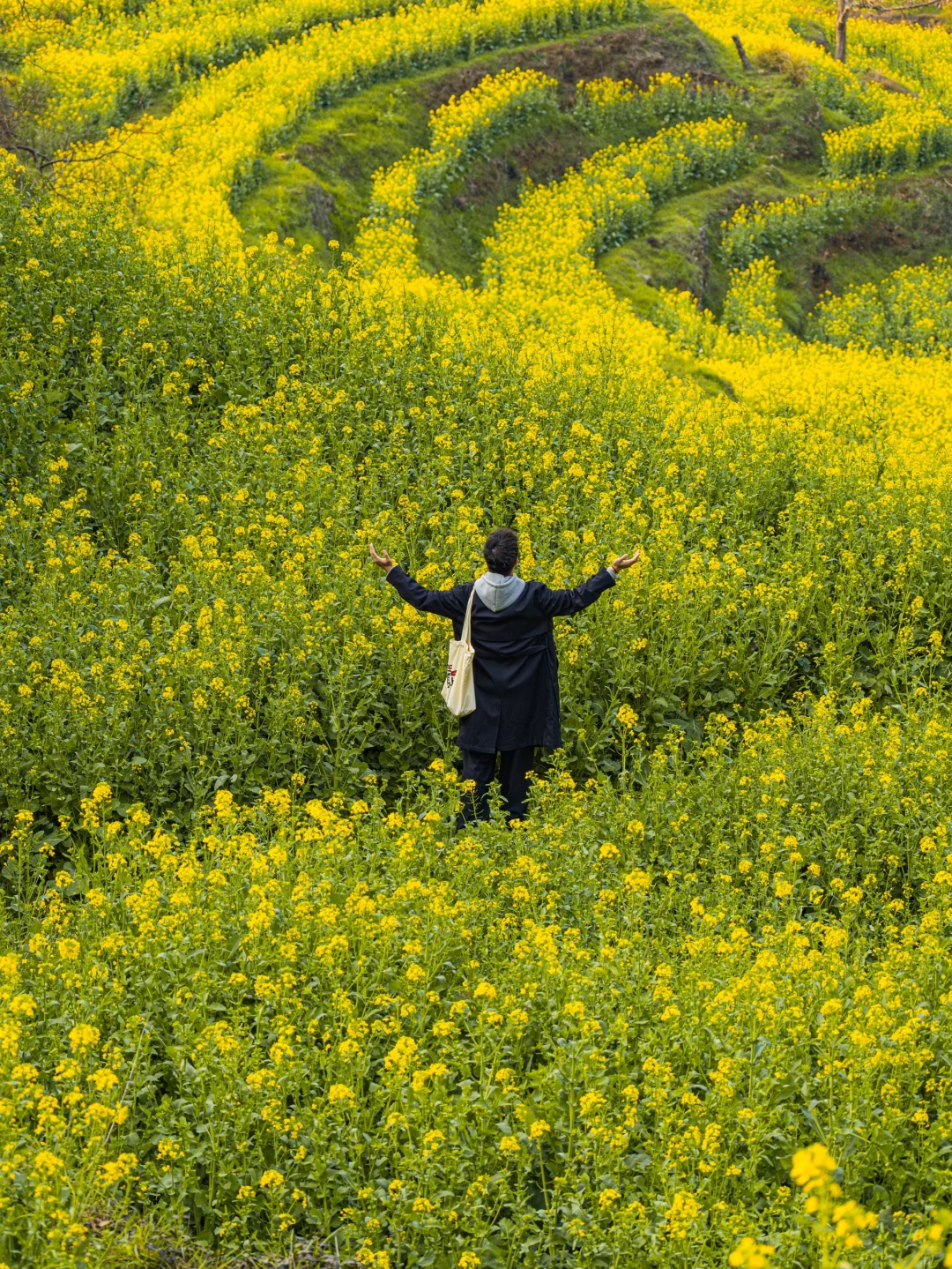 和城市绝交的2天！一起走进最美古村的春天