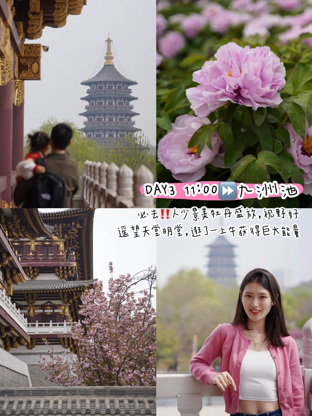 清明带娃去洛阳！3日游攻略直接抄作业