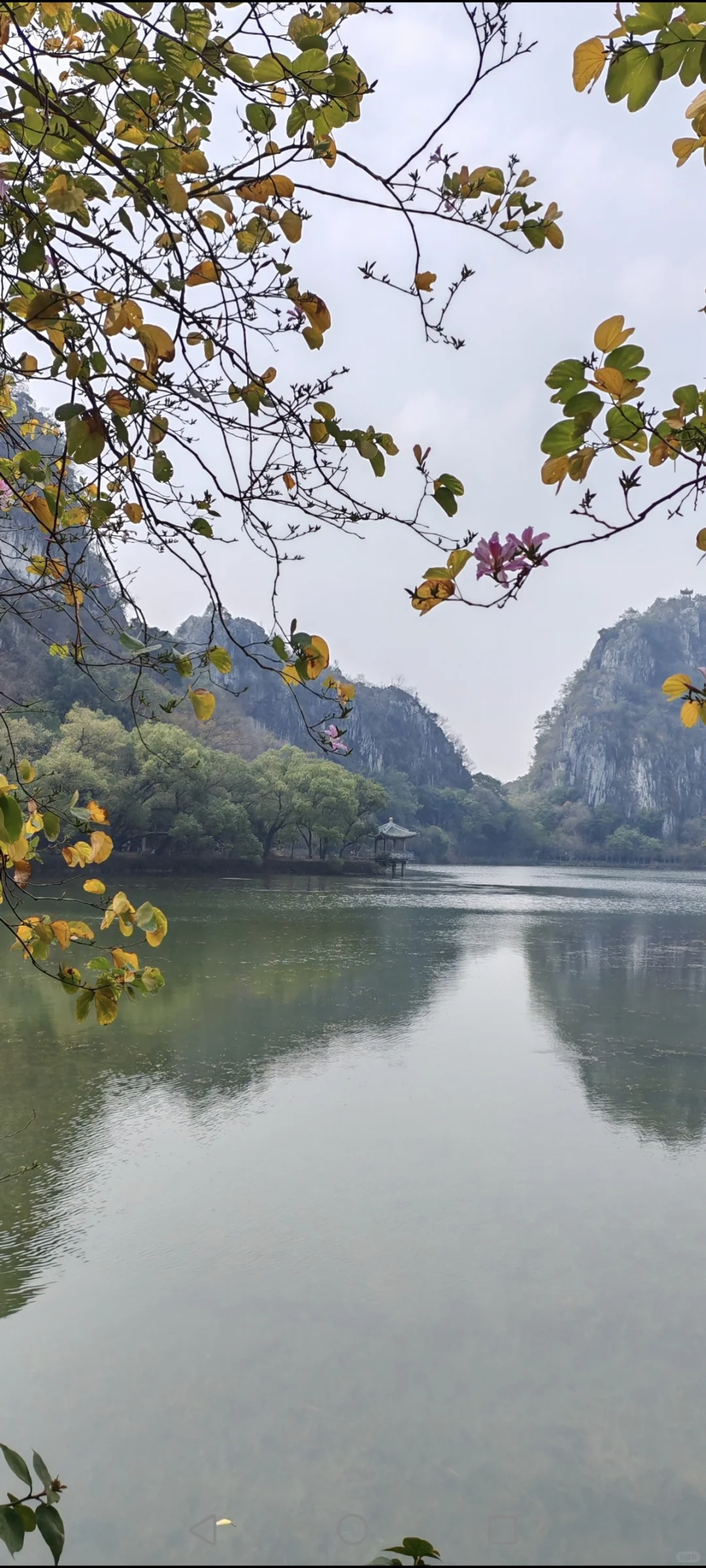 北京至广东肇庆自驾游