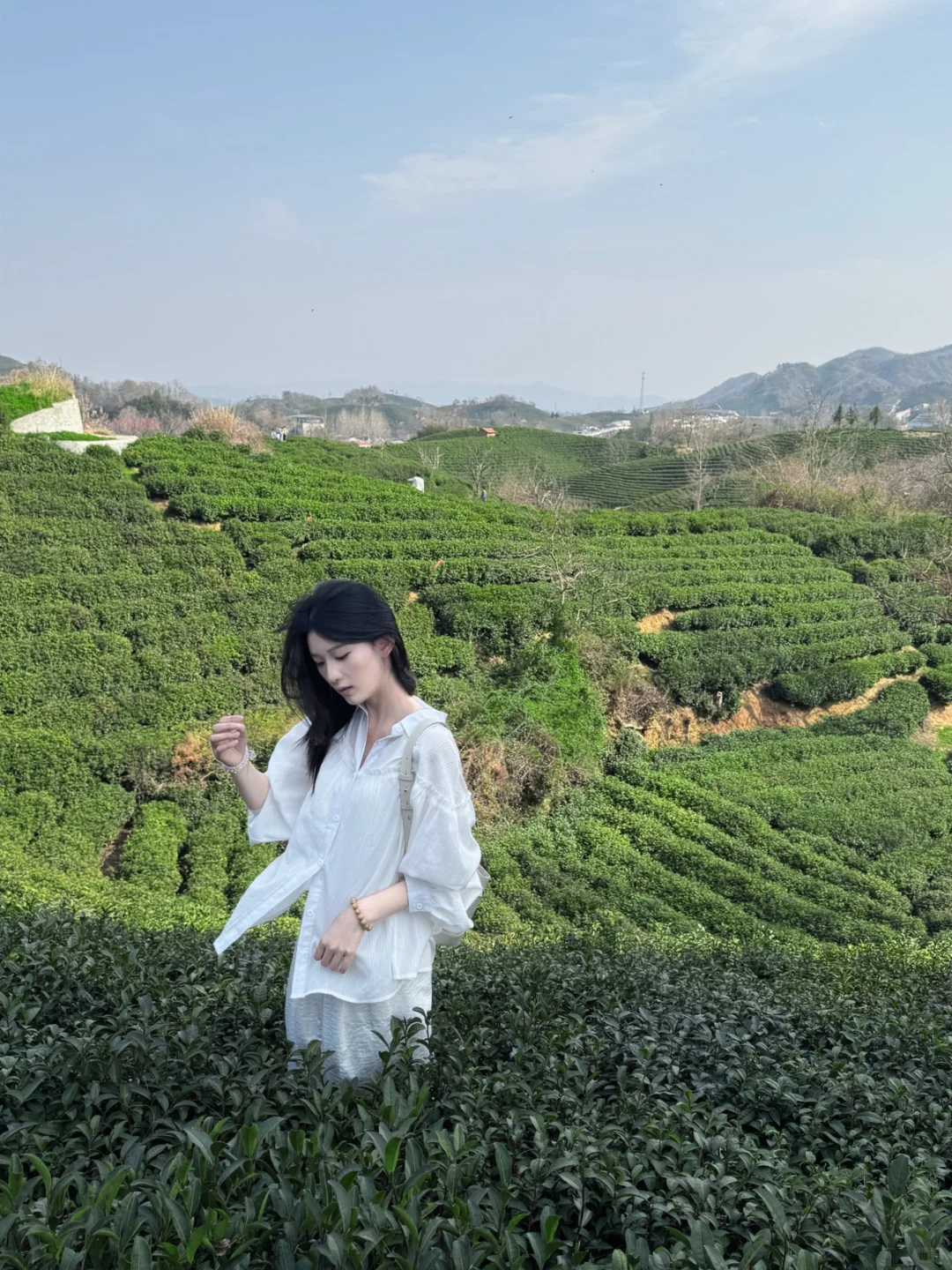 信阳文新茶村一日游🍃