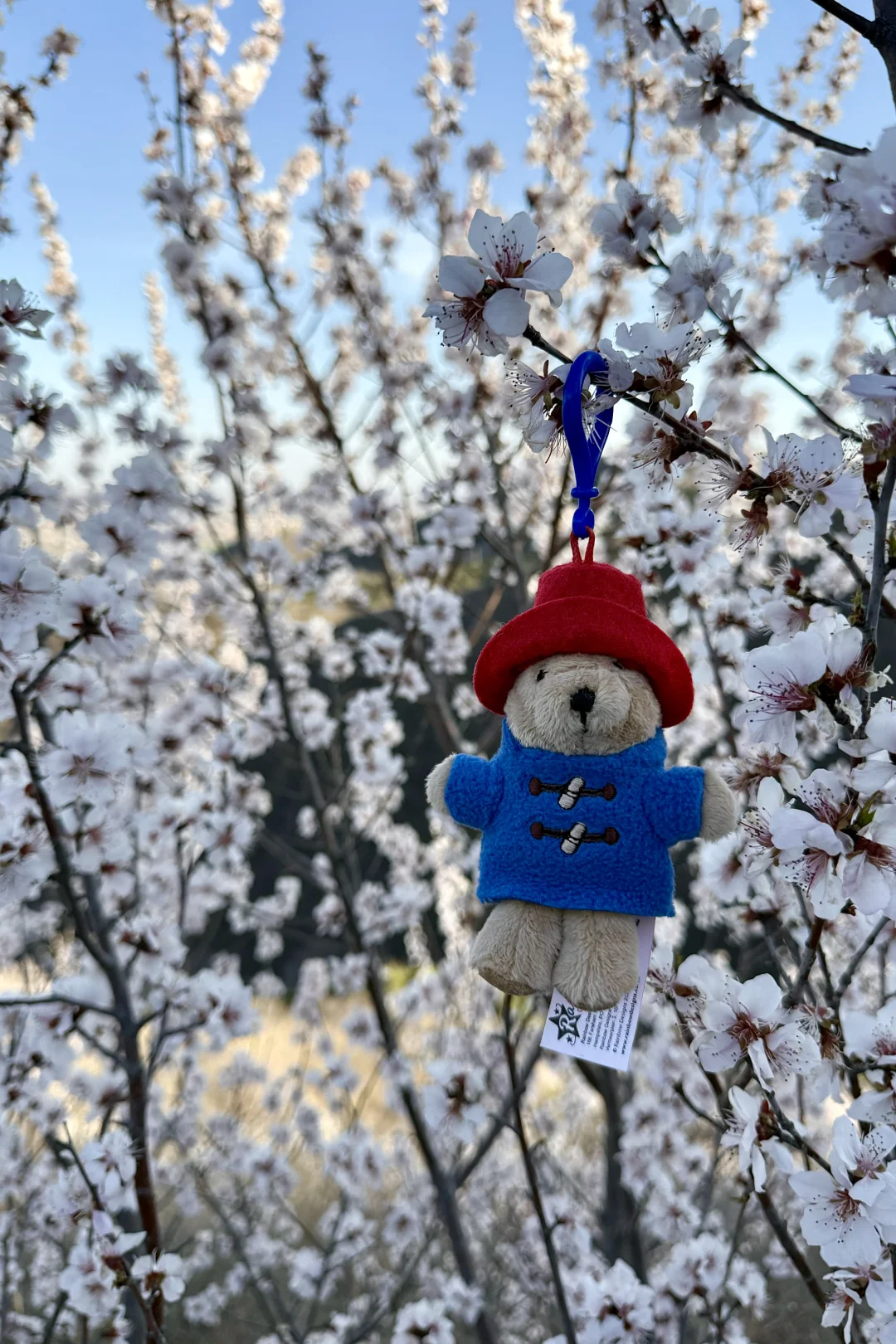 别再挤白虎涧‼️房山小众无人山谷太美🌸