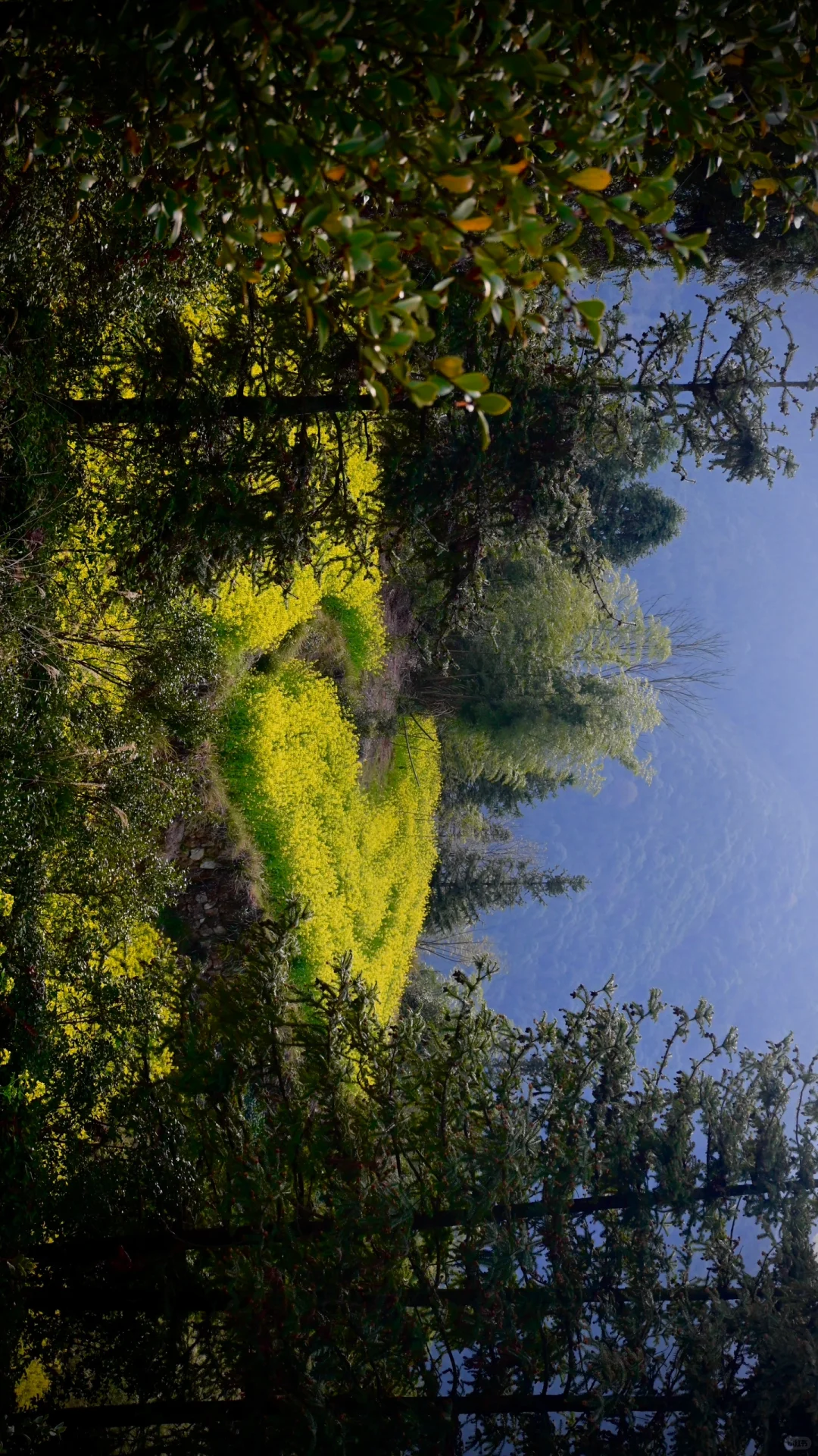 江岭溜腿的仨小时🫴🏻