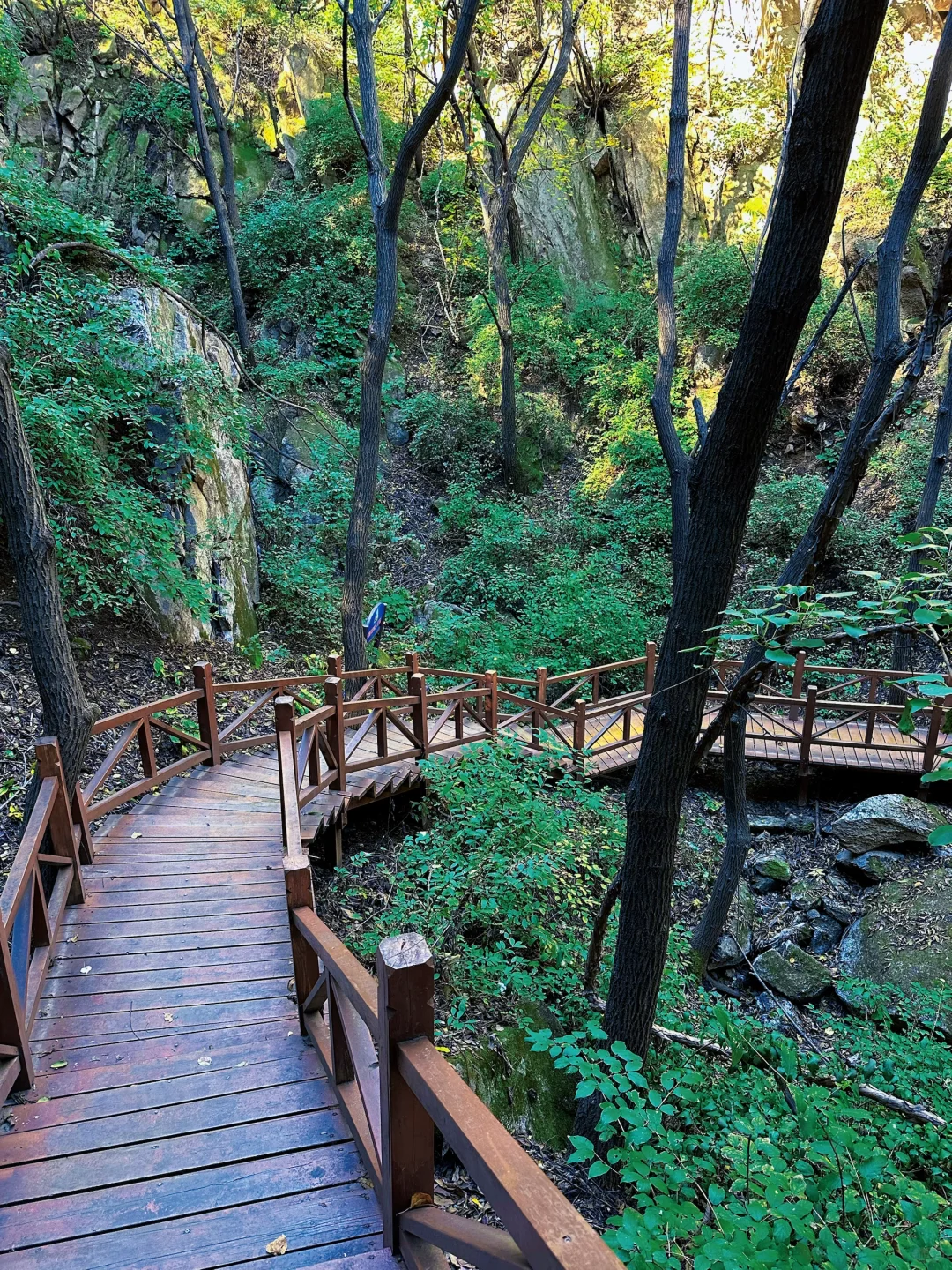 昌平云端步道将开放！清明好去处！附攻略