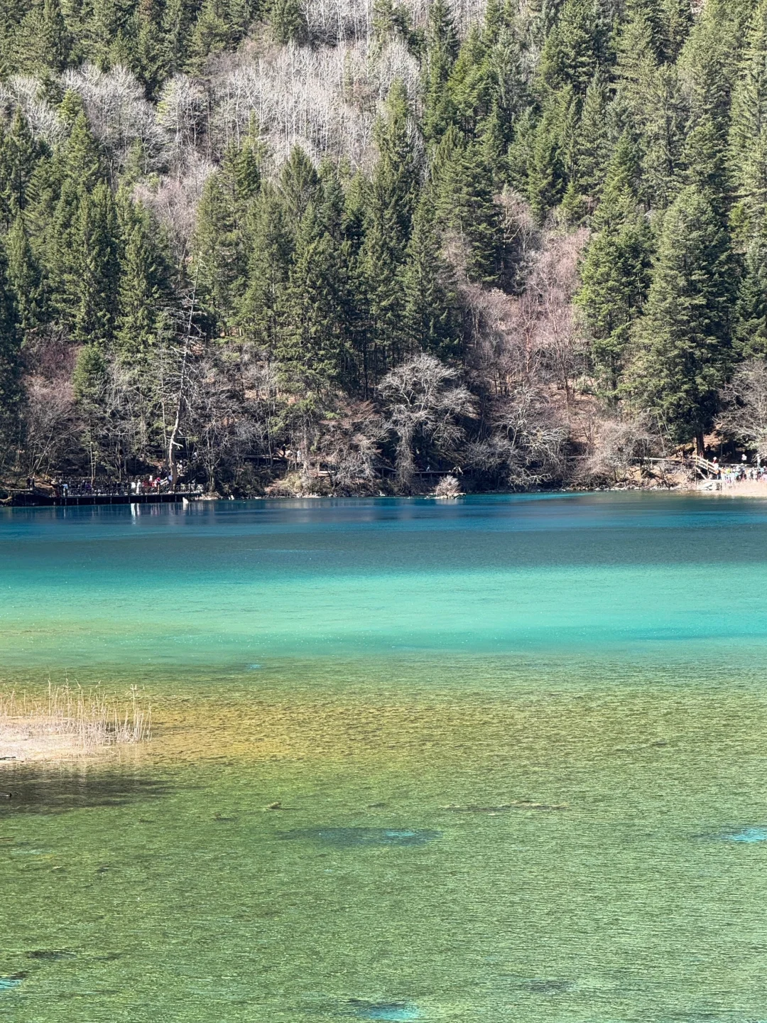 3.25📍九寨沟真实现状😭淡季人也不少啊