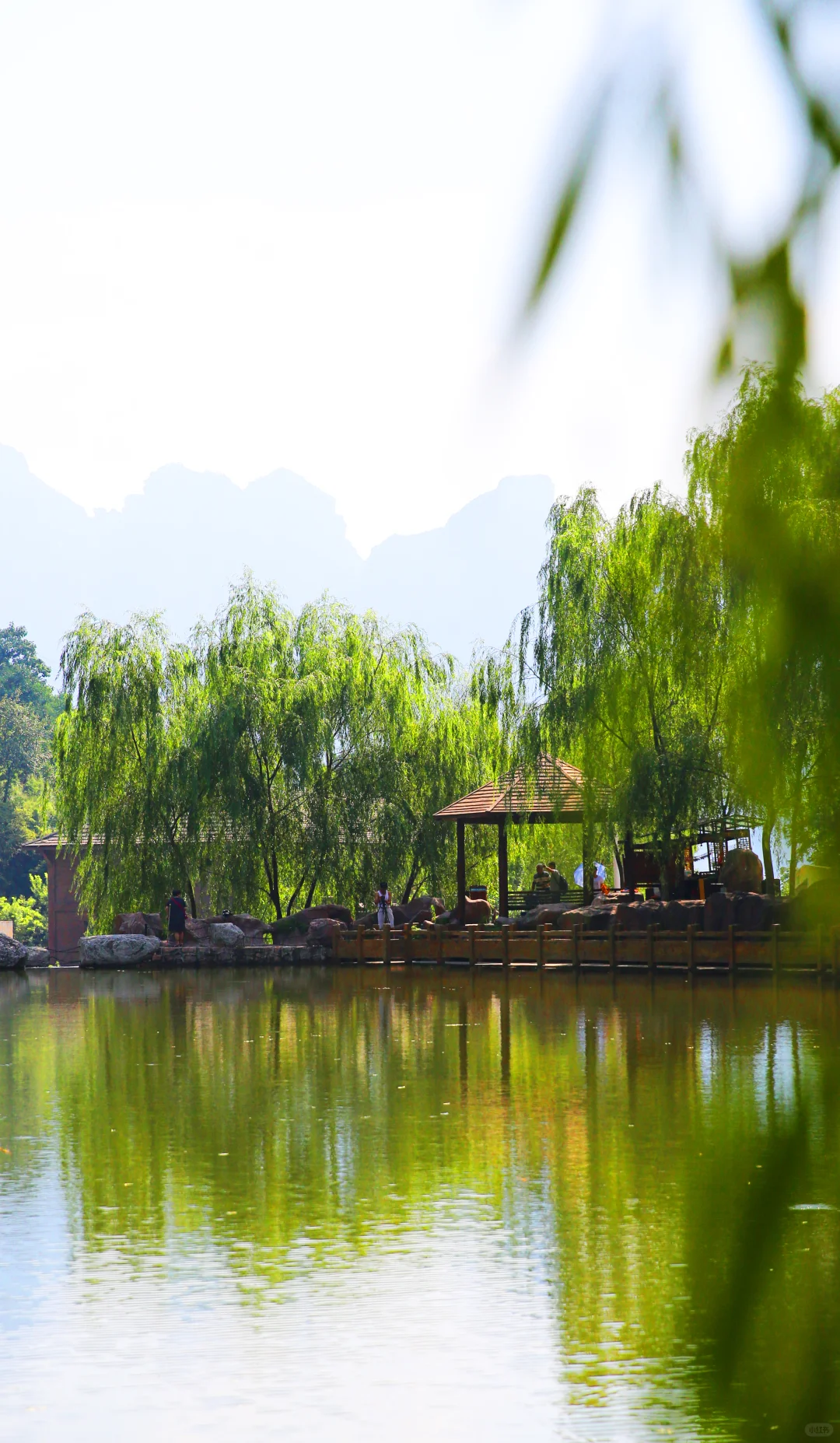 七步沟：风里已经有春天的味道咯~