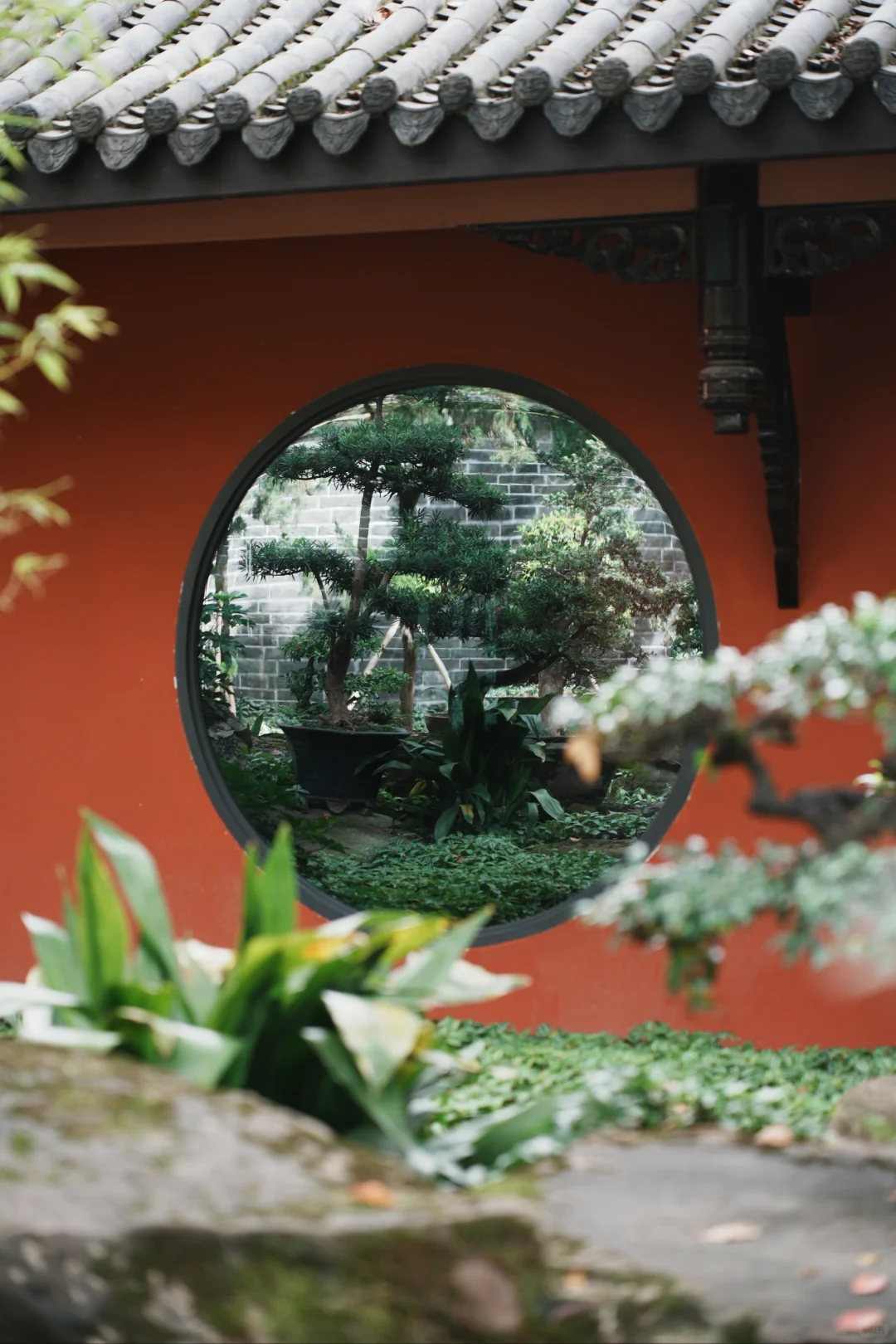 成都5天4夜深度游｜本地人私藏玩法！